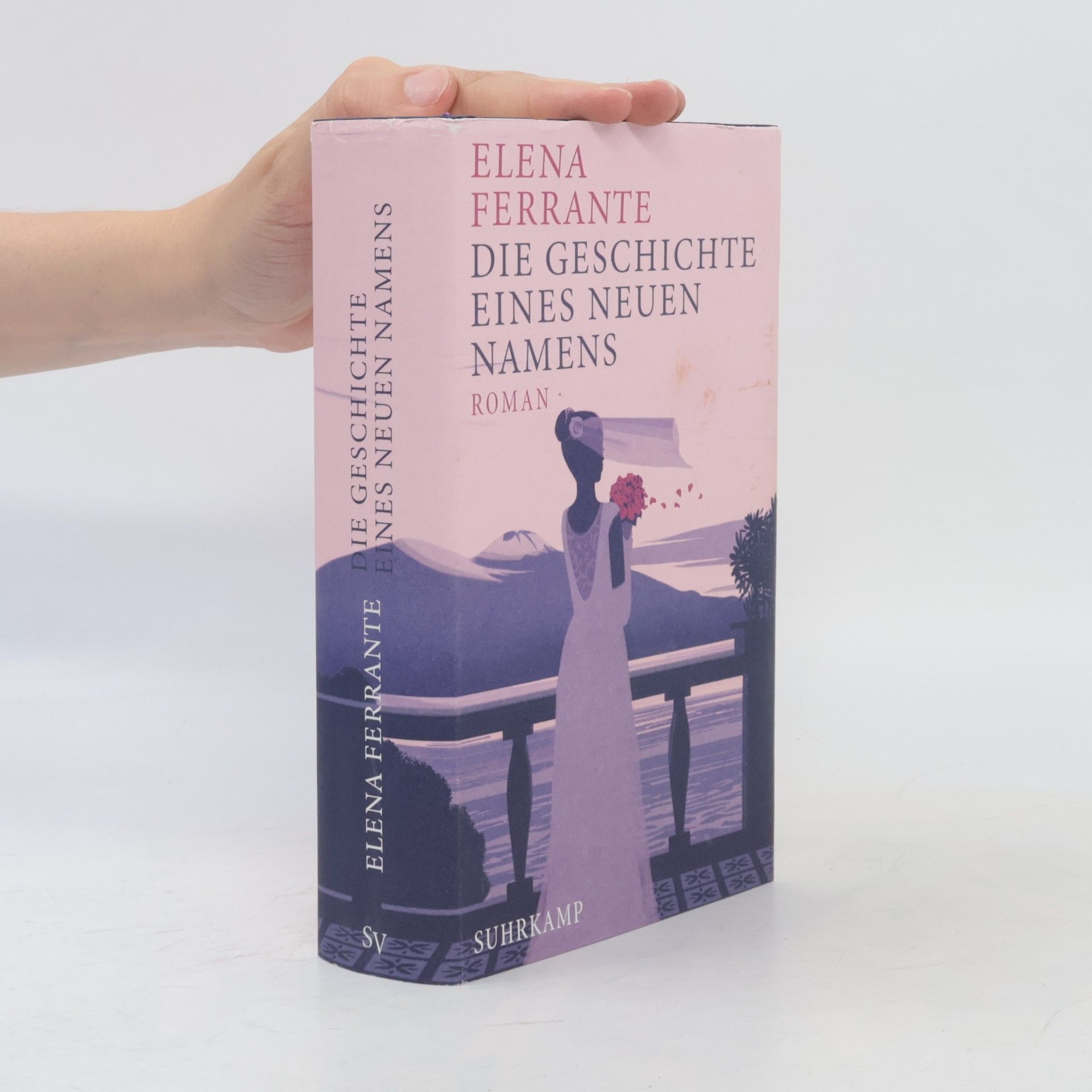 Elena Ferrante Die Geschichte eines neuen Namens: Jugendjahre