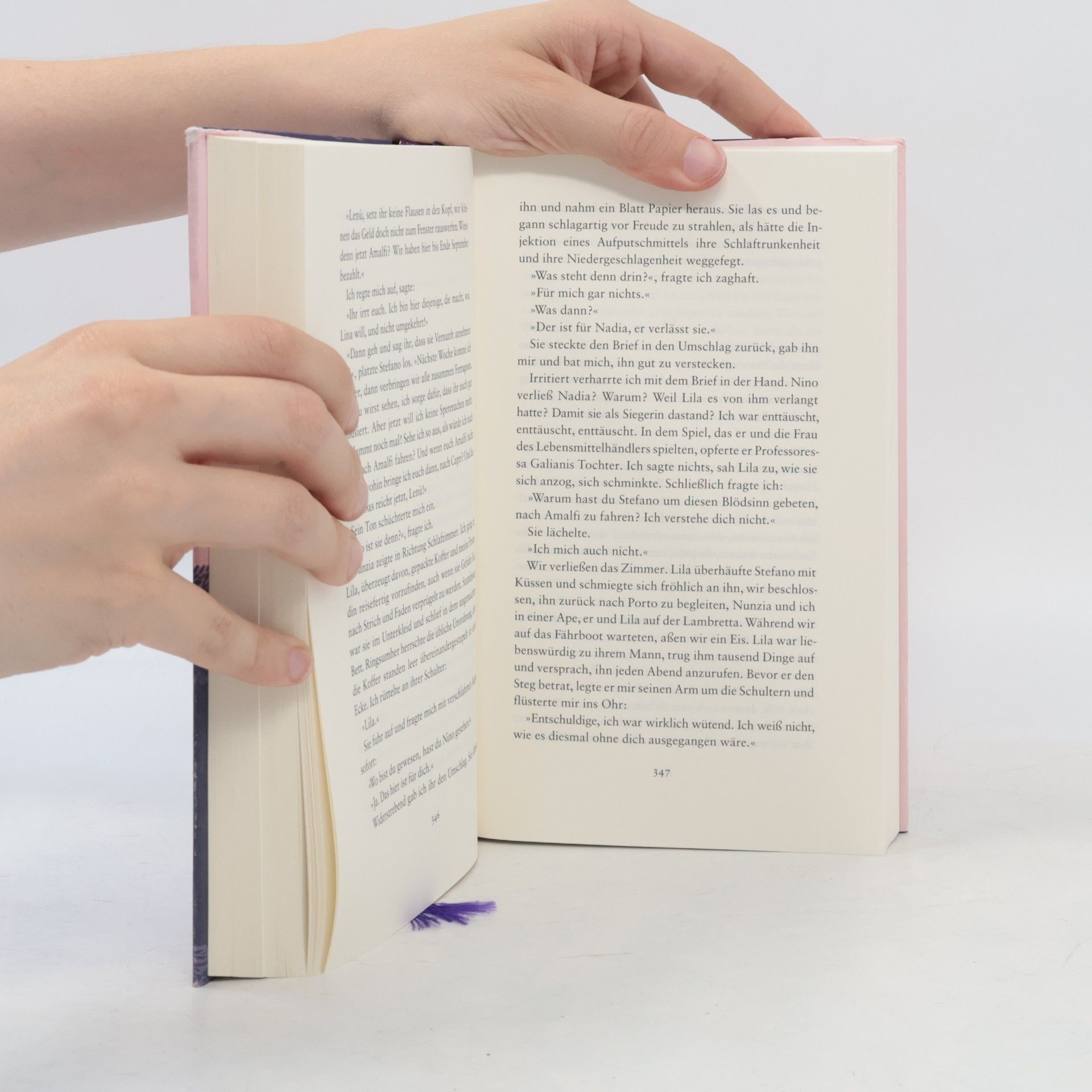 Elena Ferrante Die Geschichte eines neuen Namens: Jugendjahre