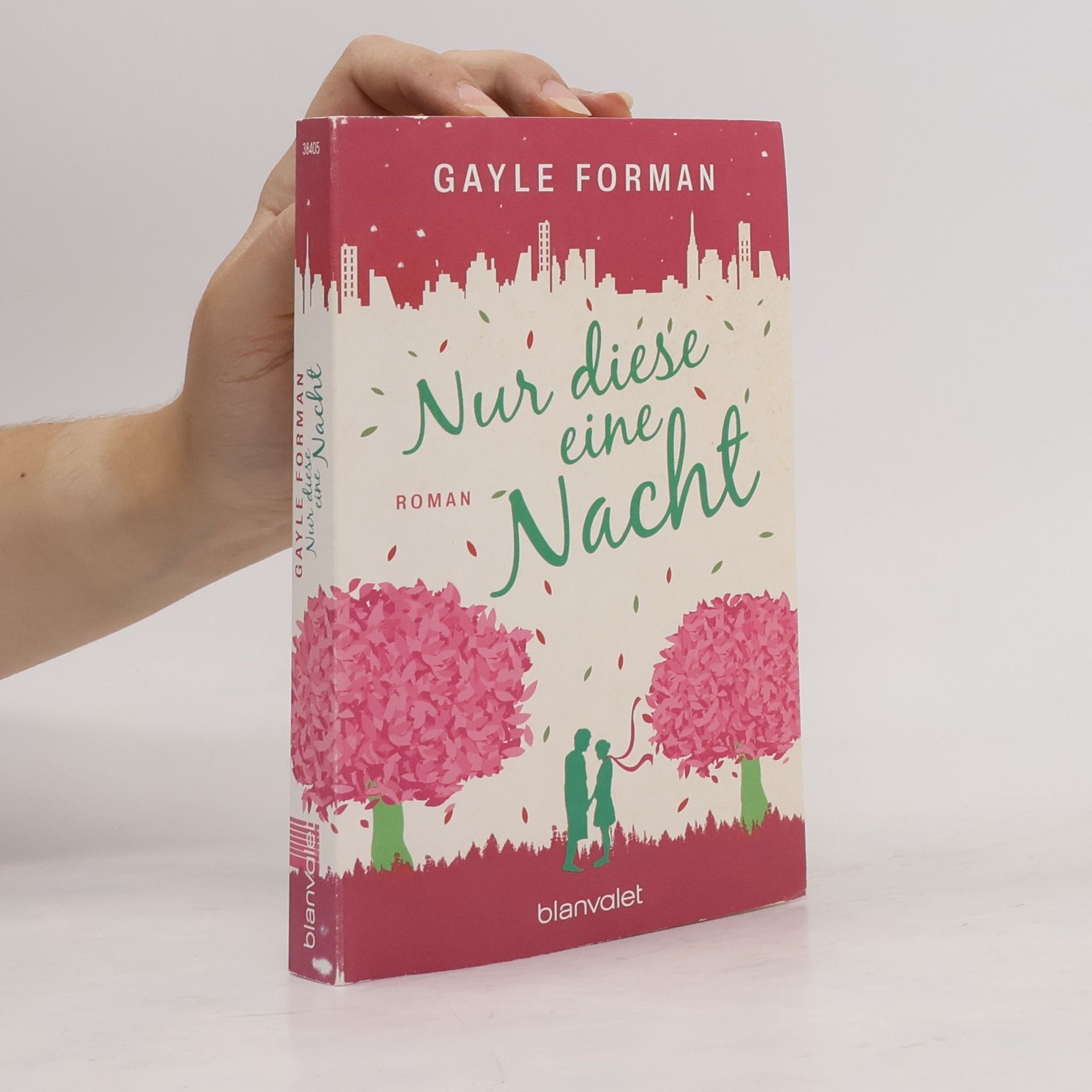 Gayle Forman Nur diese eine Nacht