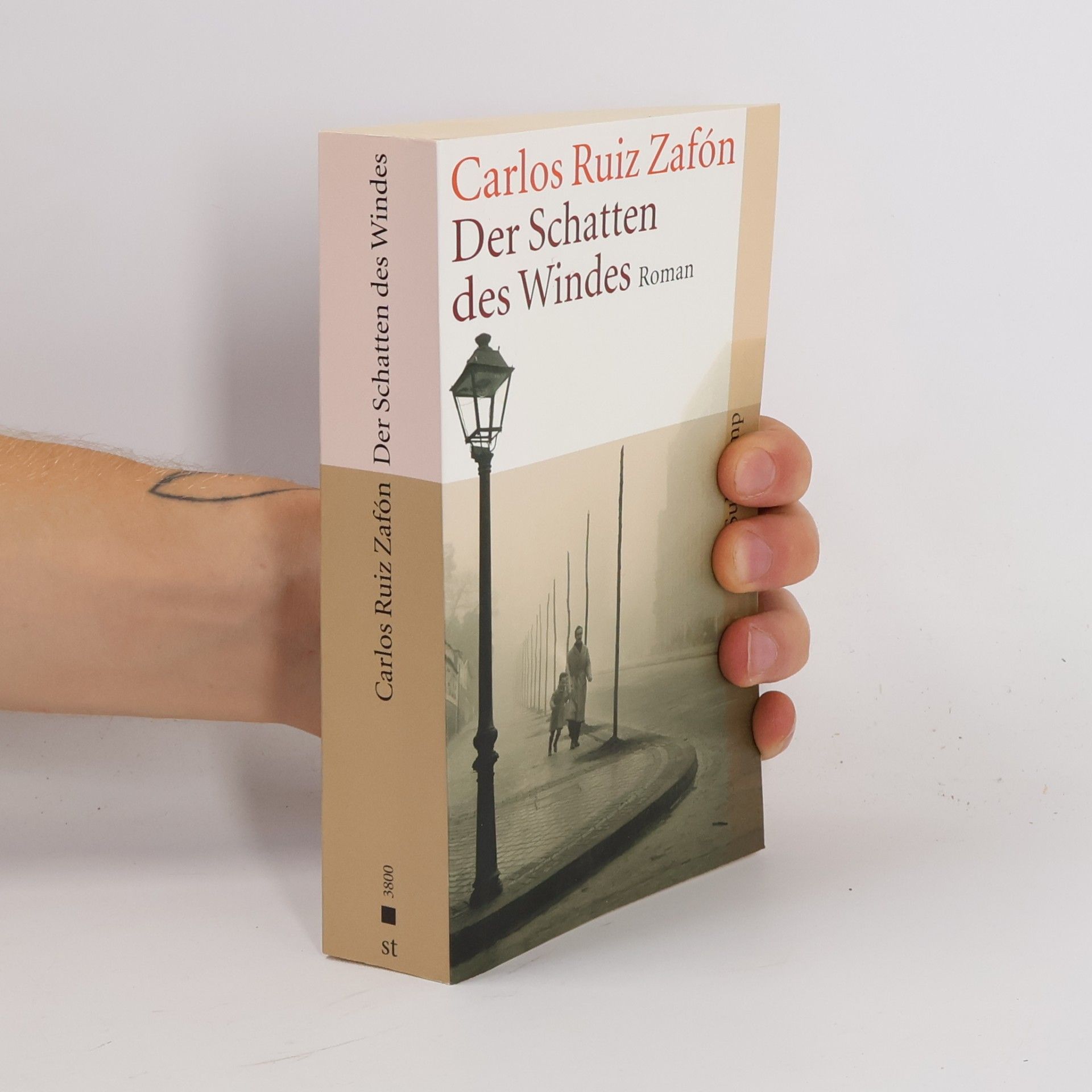 Carlos Ruiz Zafón Der Schatten des Windes