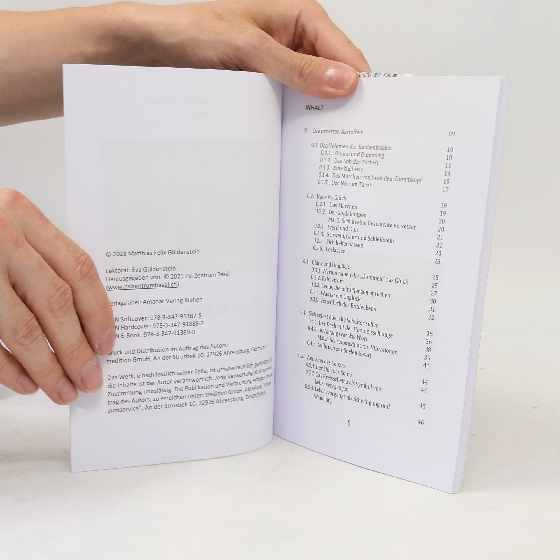 Matthias Felix Güldenstein Das Buch Null 1