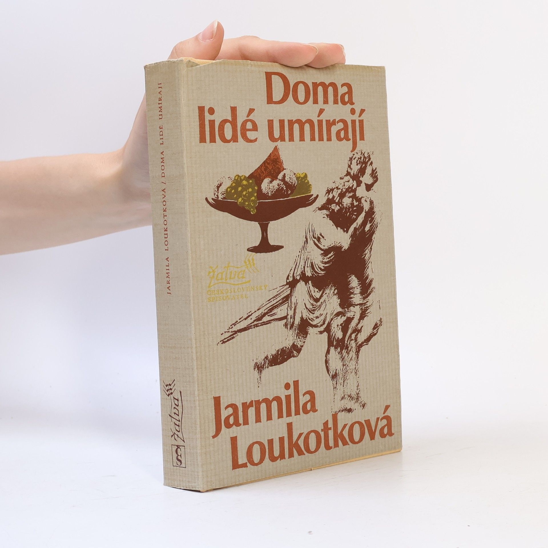 Jarmila Loukotková Doma lidé umírají