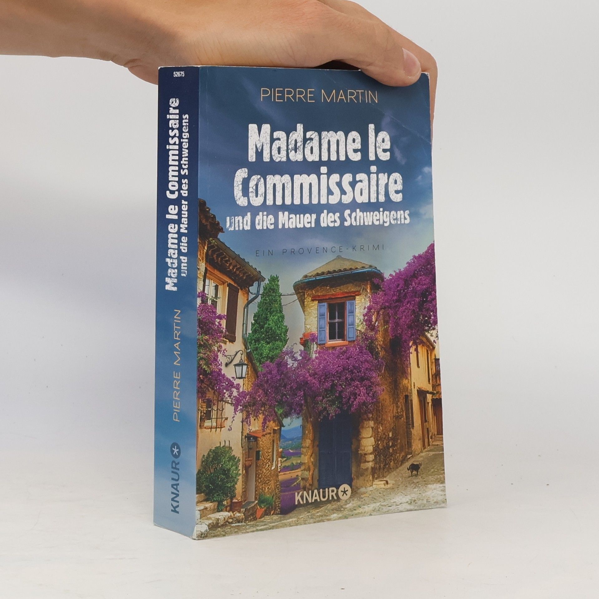Pierre Martin Madame le Commissaire und die Mauer des Schweigens