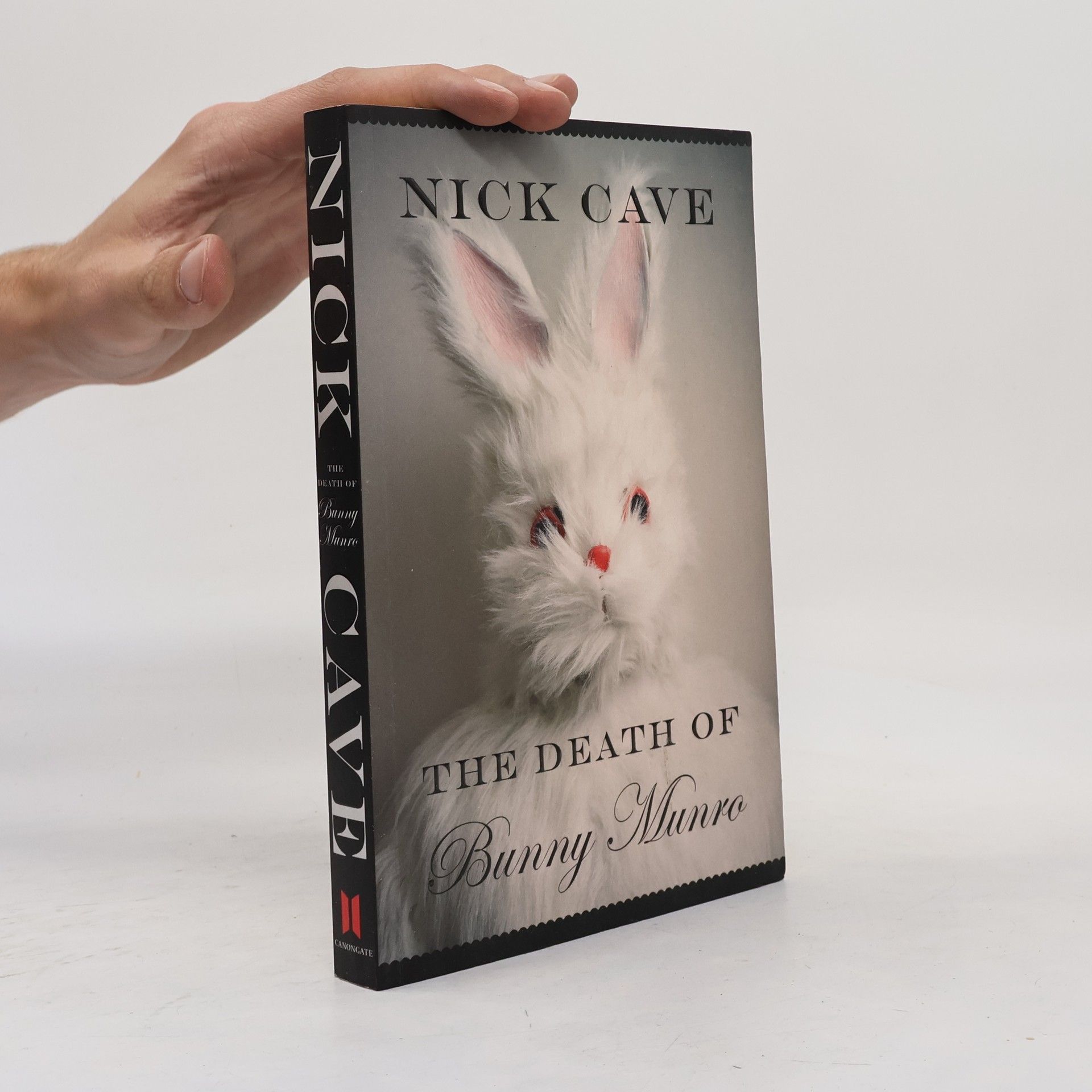 Nick Cave The Death of Bunny Munro