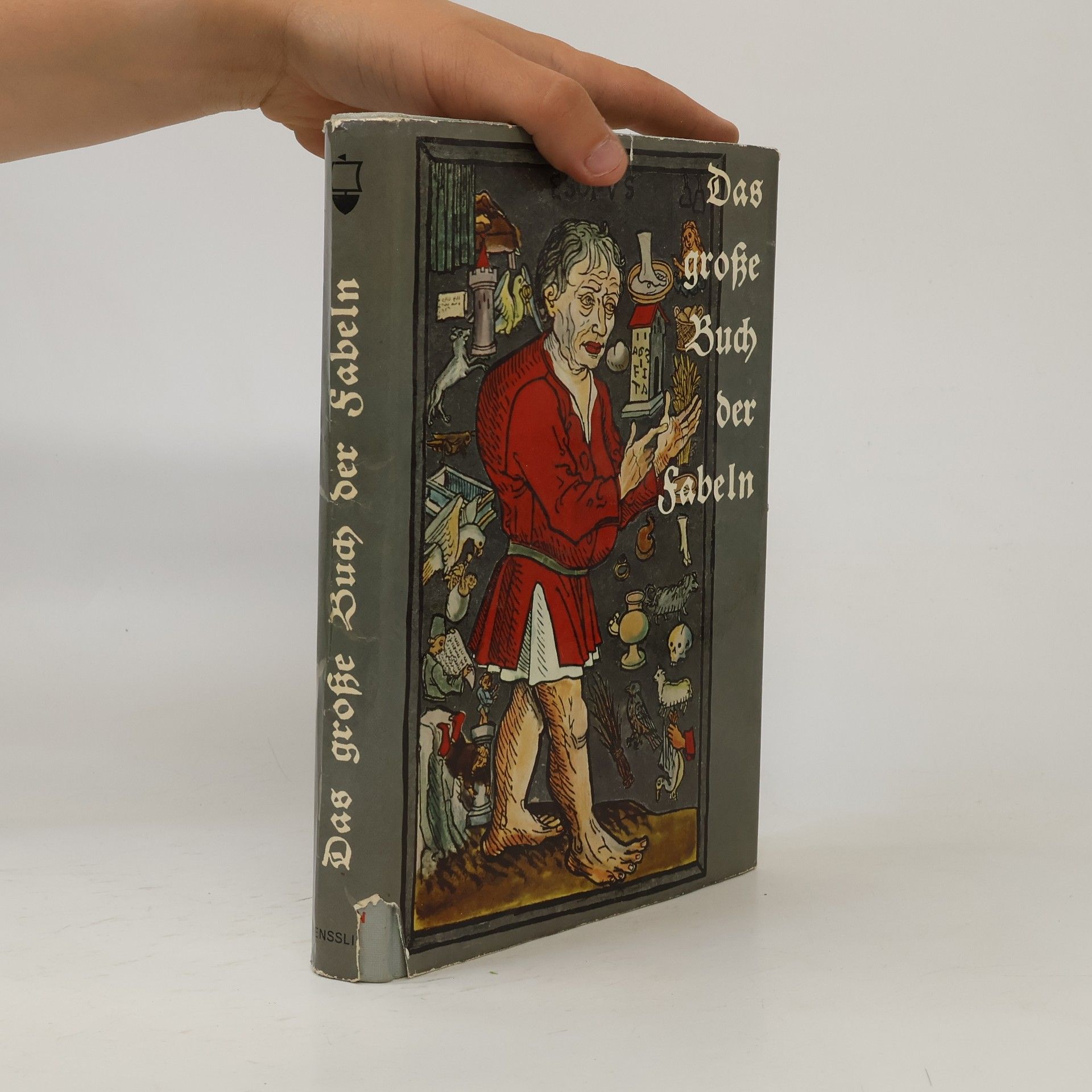Autores varios Das große Buch der fabeln