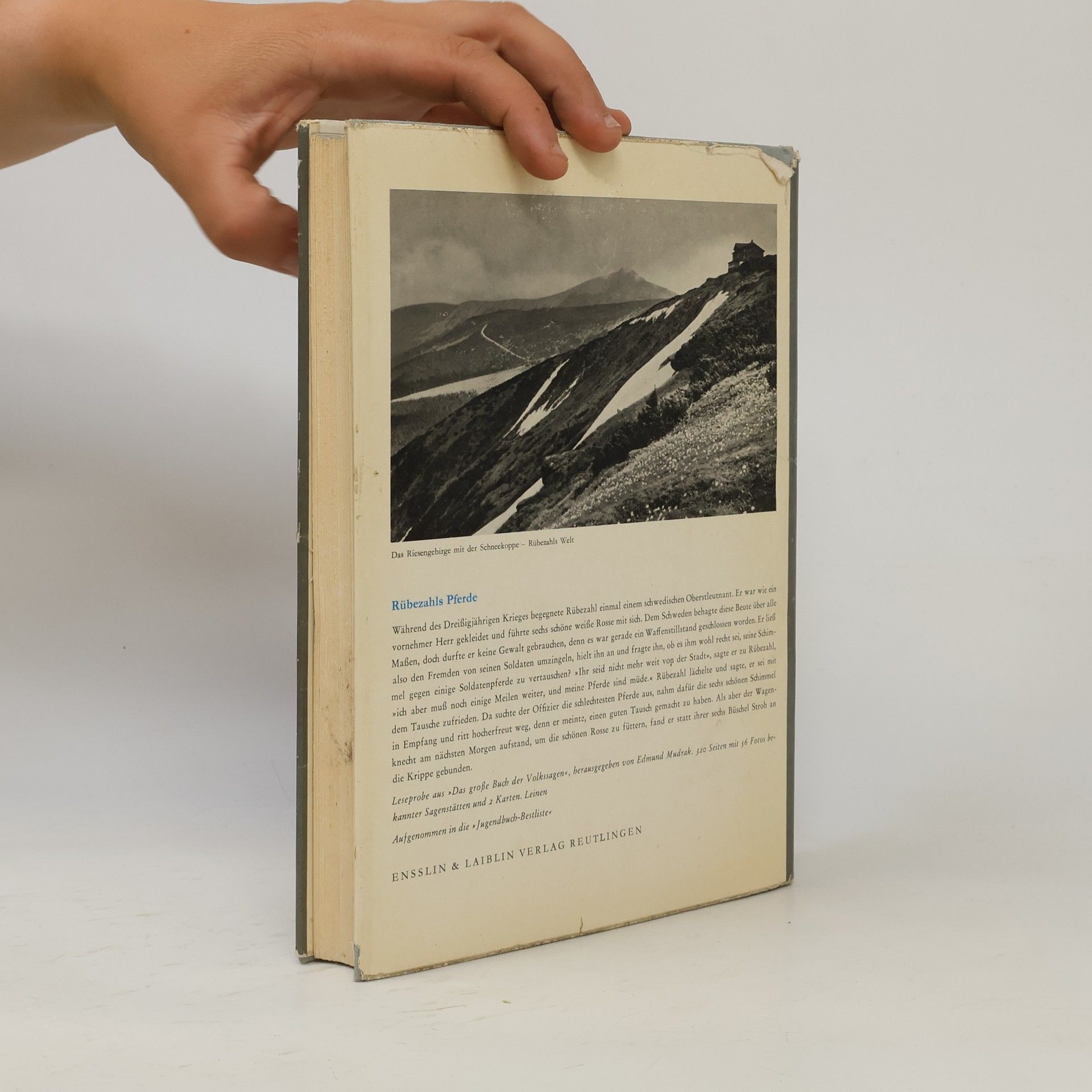 Autores varios Das große Buch der fabeln