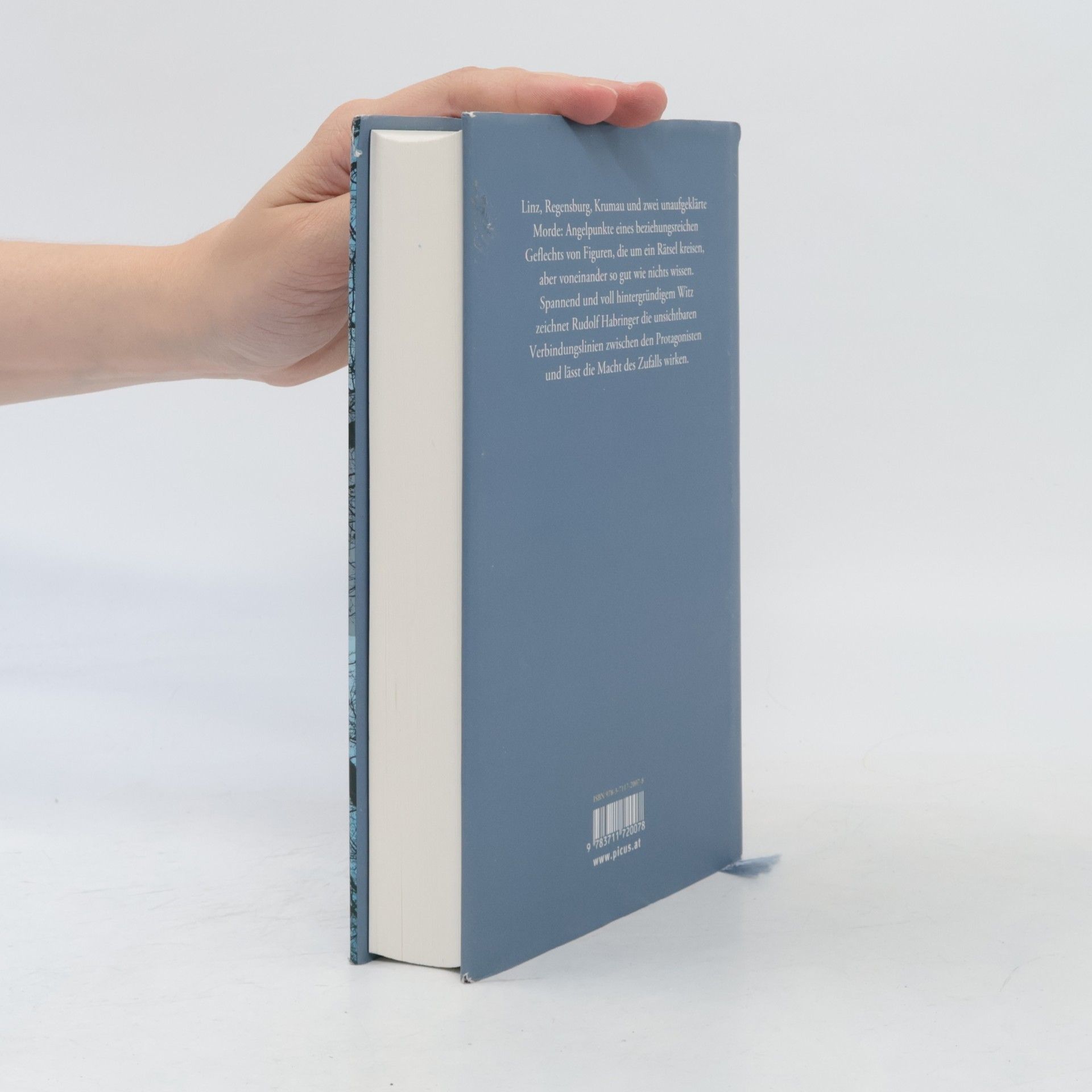 Rudolf Habringer Was wir ahnen