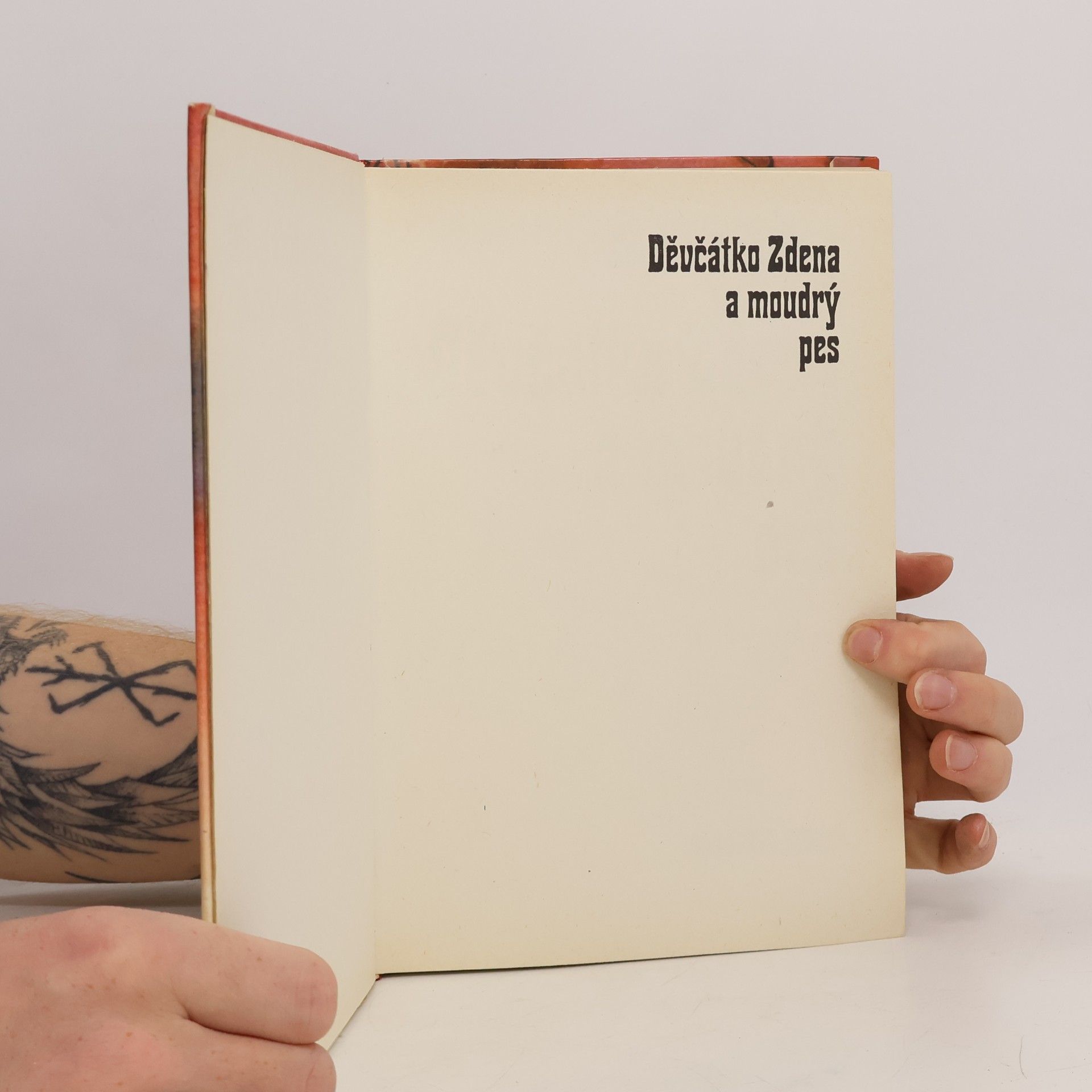 Zdeňka Bezděková Děvčátko Zdena a moudrý pes