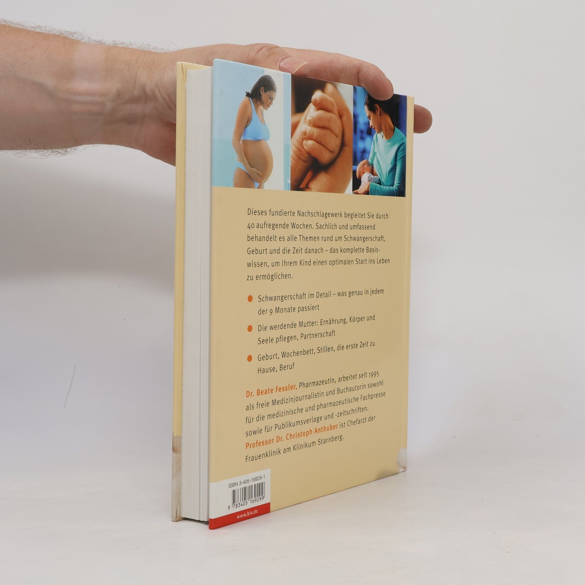Beate Fessler Handbuch Schwangerschaft und Geburt