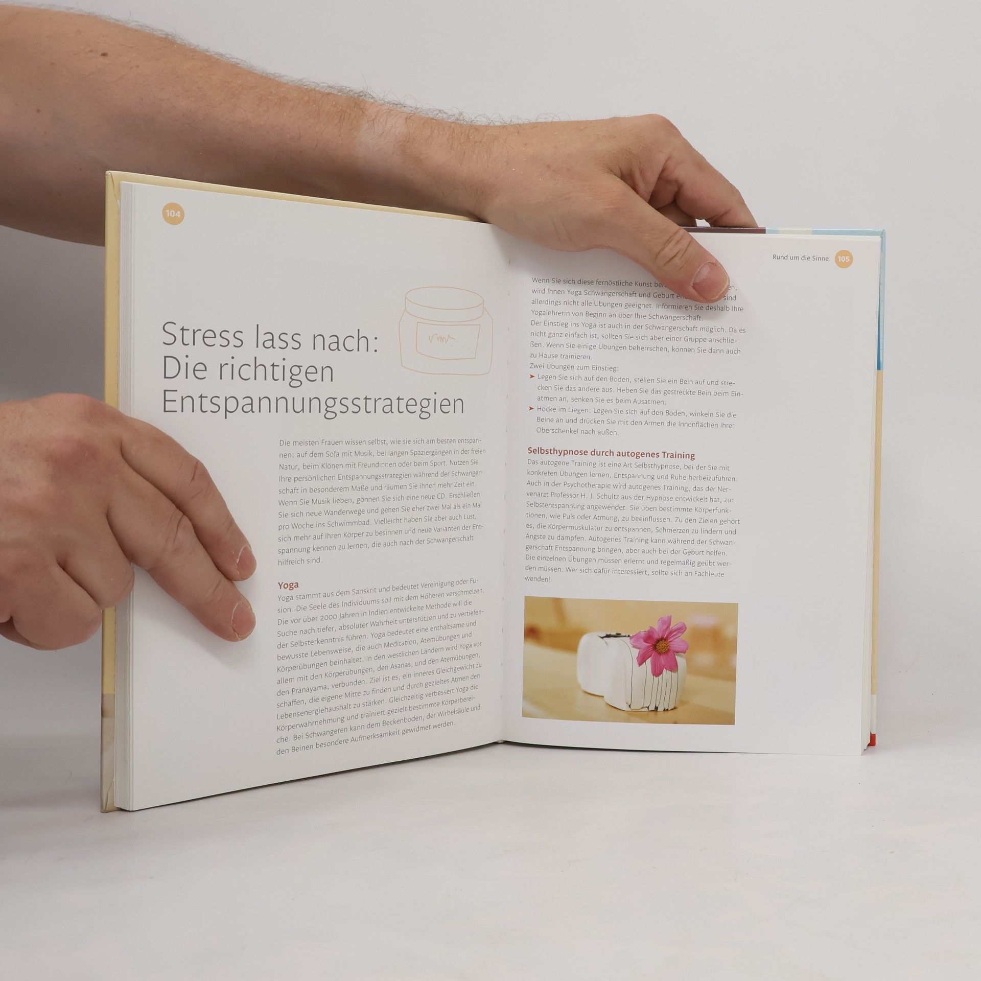 Beate Fessler Handbuch Schwangerschaft und Geburt