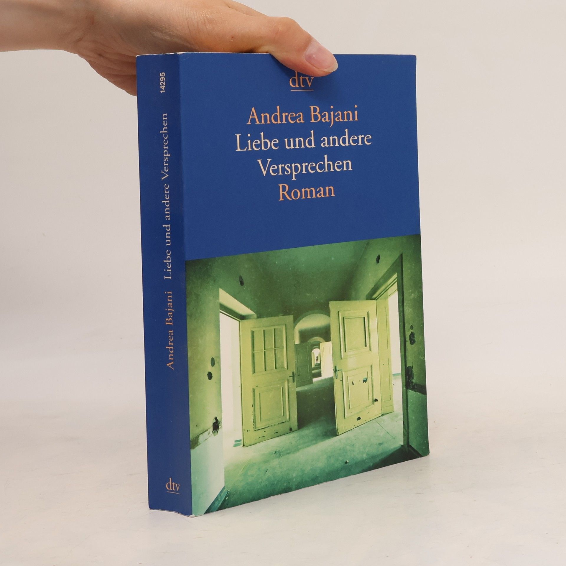 Andrea Bajani Liebe und andere Versprechen