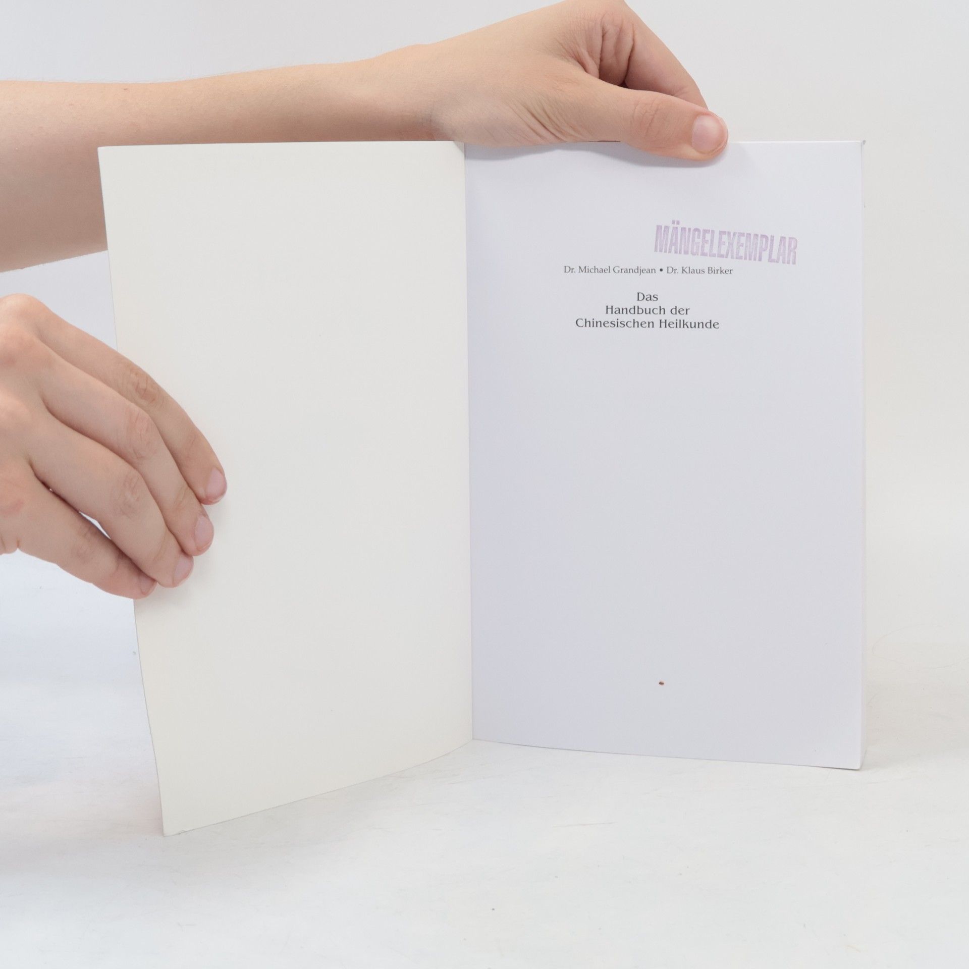 Michael Grandjean Das Handbuch der chinesischen Heilkunde
