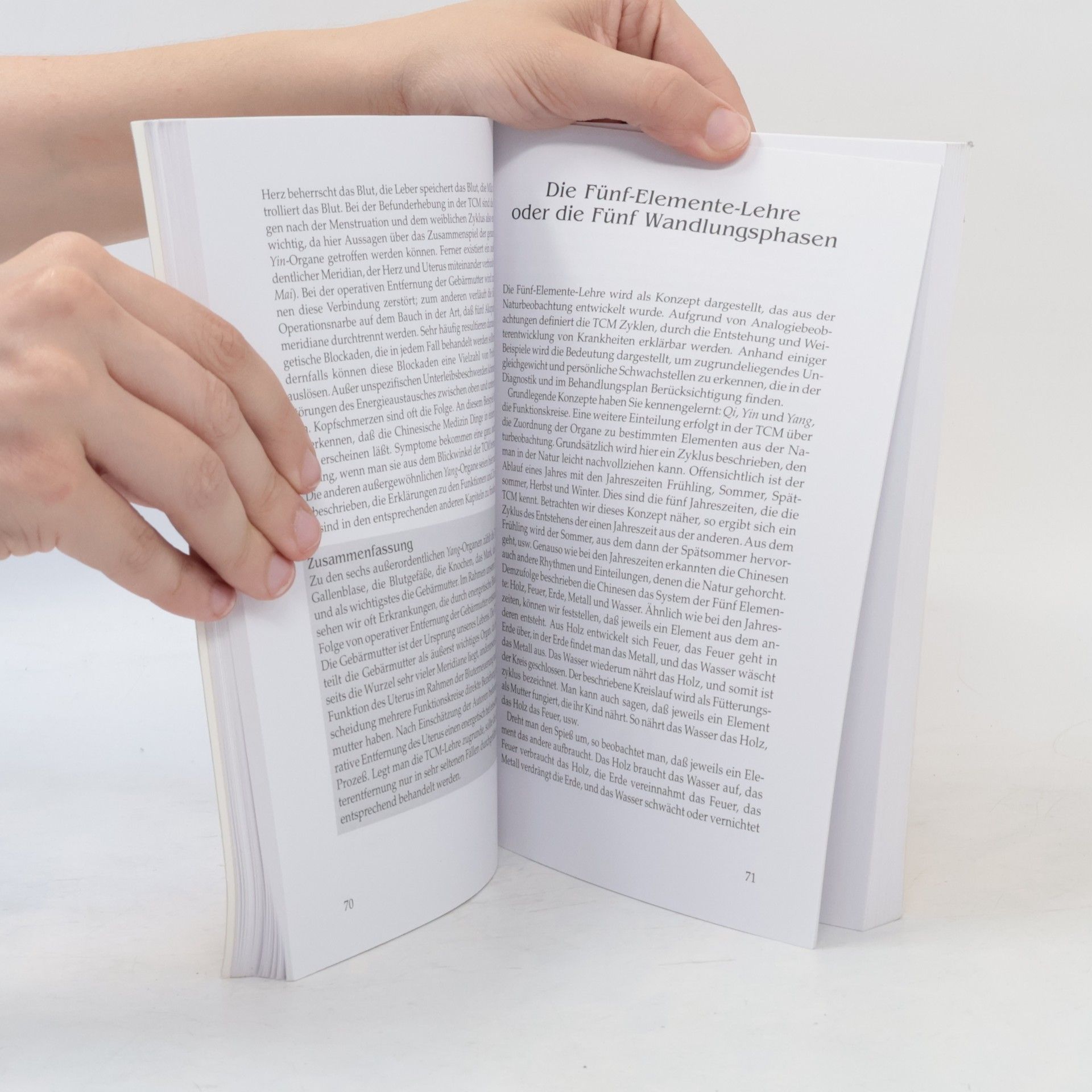 Michael Grandjean Das Handbuch der chinesischen Heilkunde