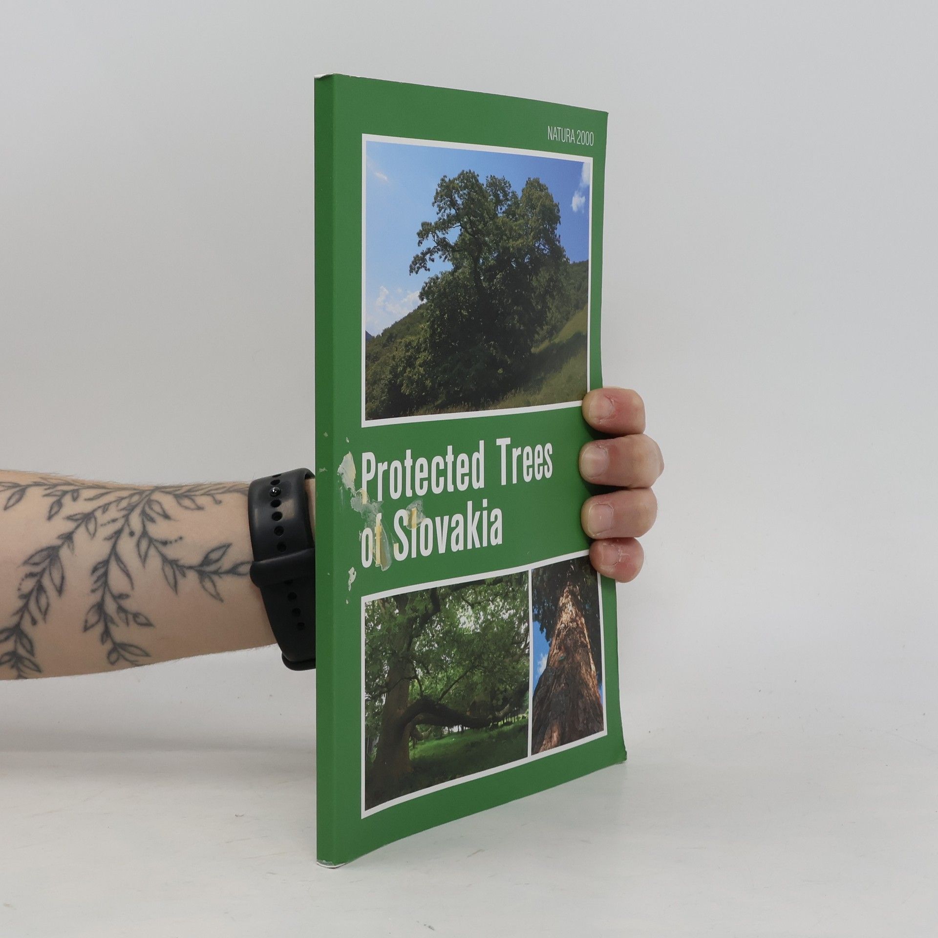 Autorenkollektiv Protected Trees of Slovakia