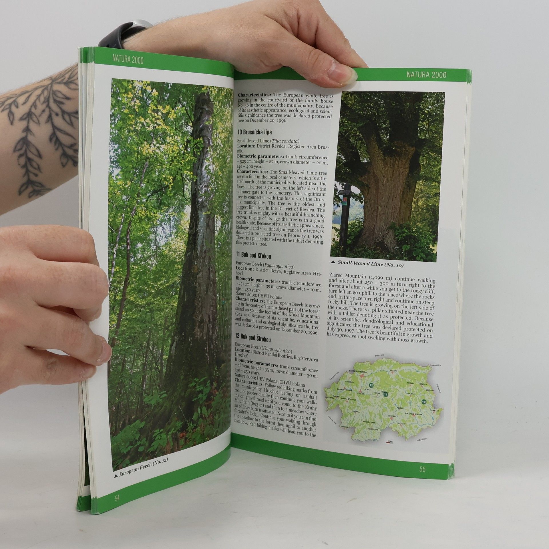 Autorenkollektiv Protected Trees of Slovakia