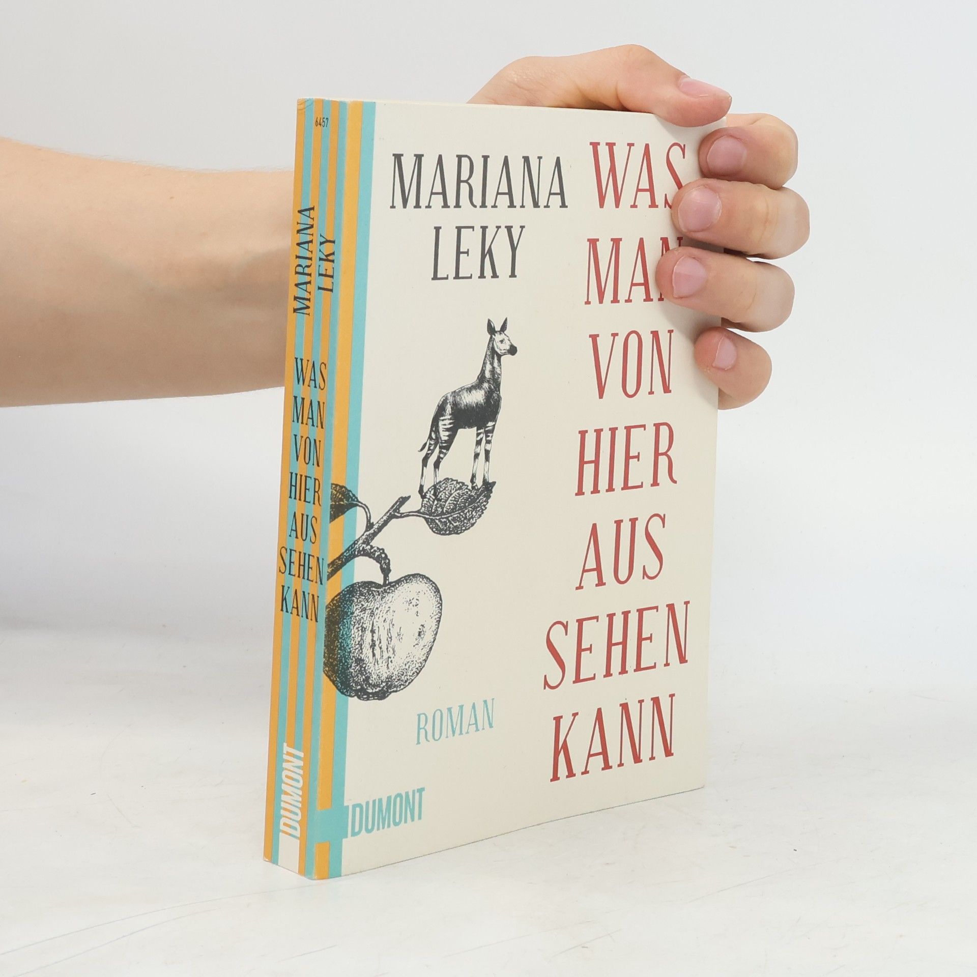 Mariana Leky Was man von hier aus sehen kann