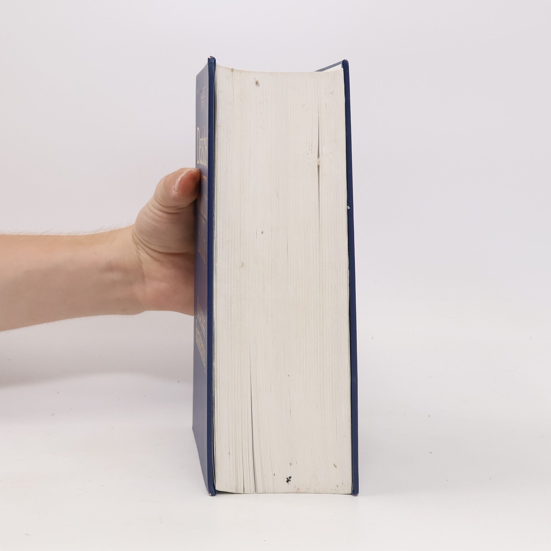 Karl-Dieter Bünting Deutsches Wörterbuch. Mit der neuen Rechtschreibung
