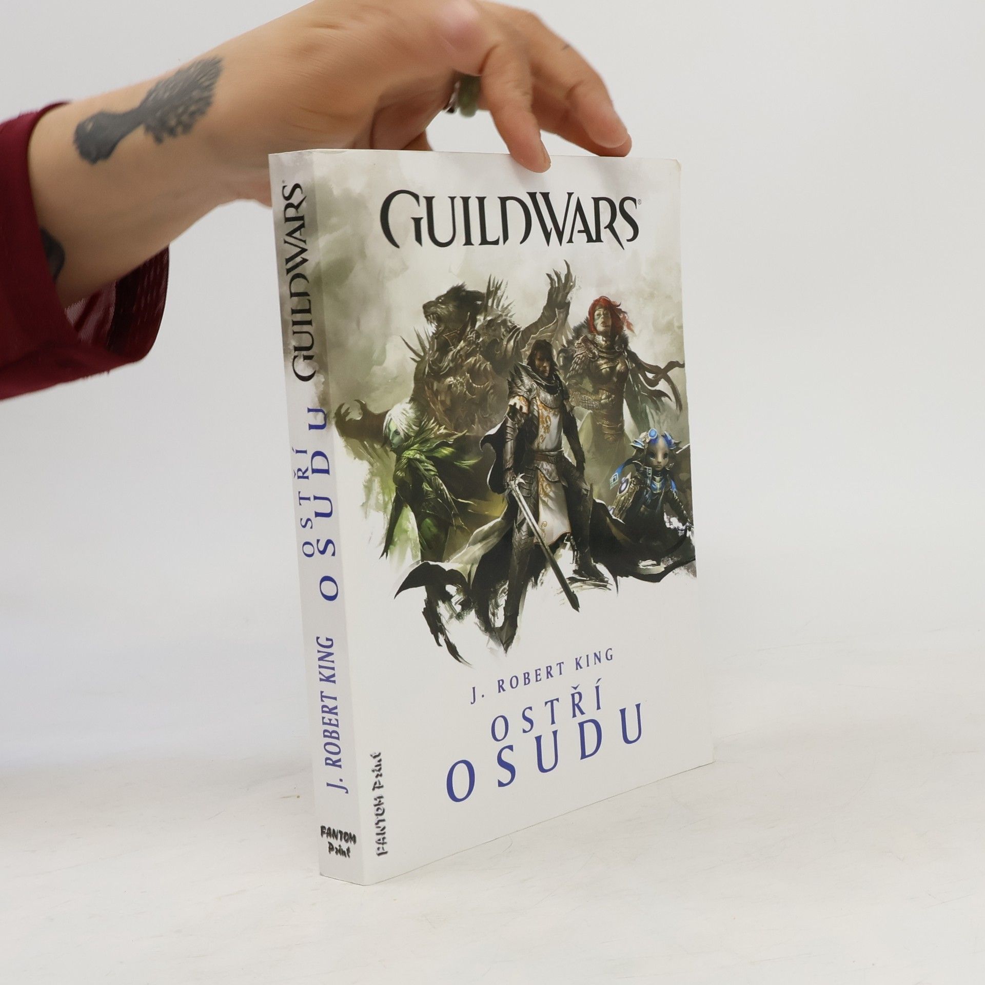 Robert J. King Guild Wars. Ostří osudu