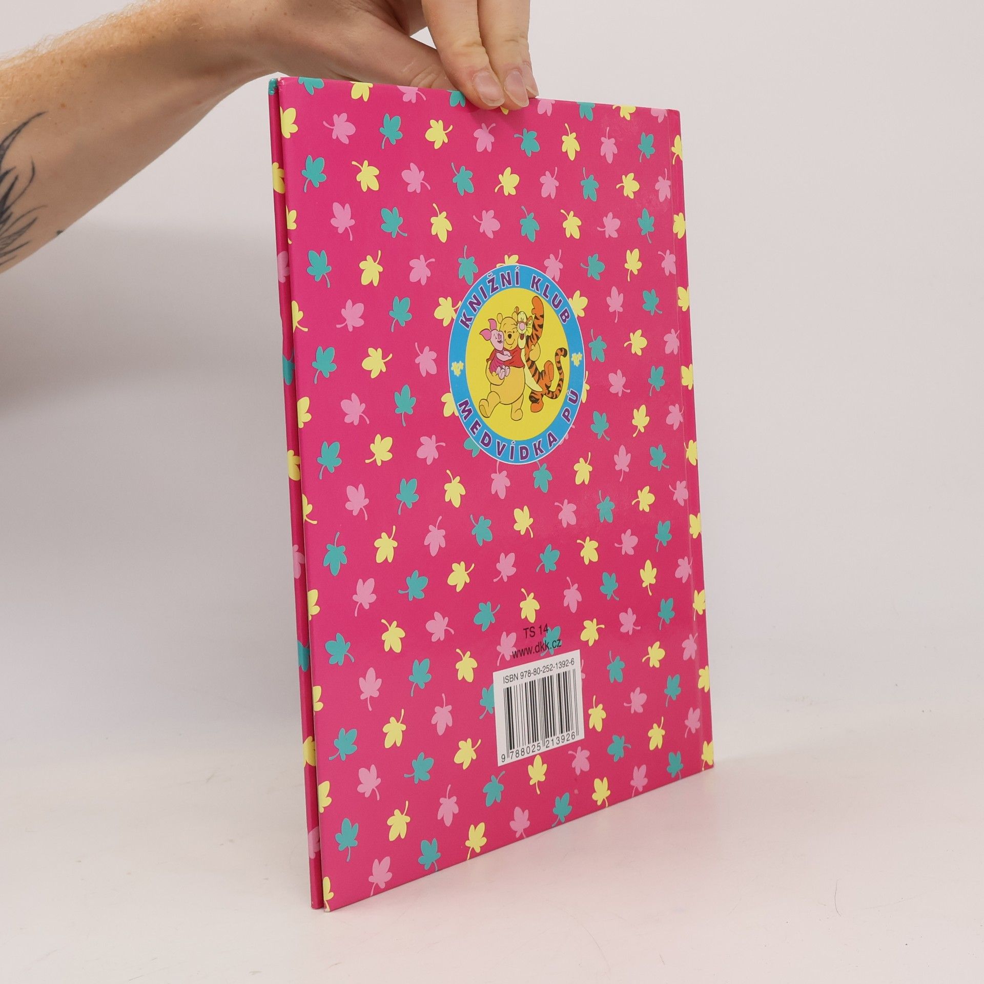 A. A. Milne Medvídek Pú. Není dopis jako dopis