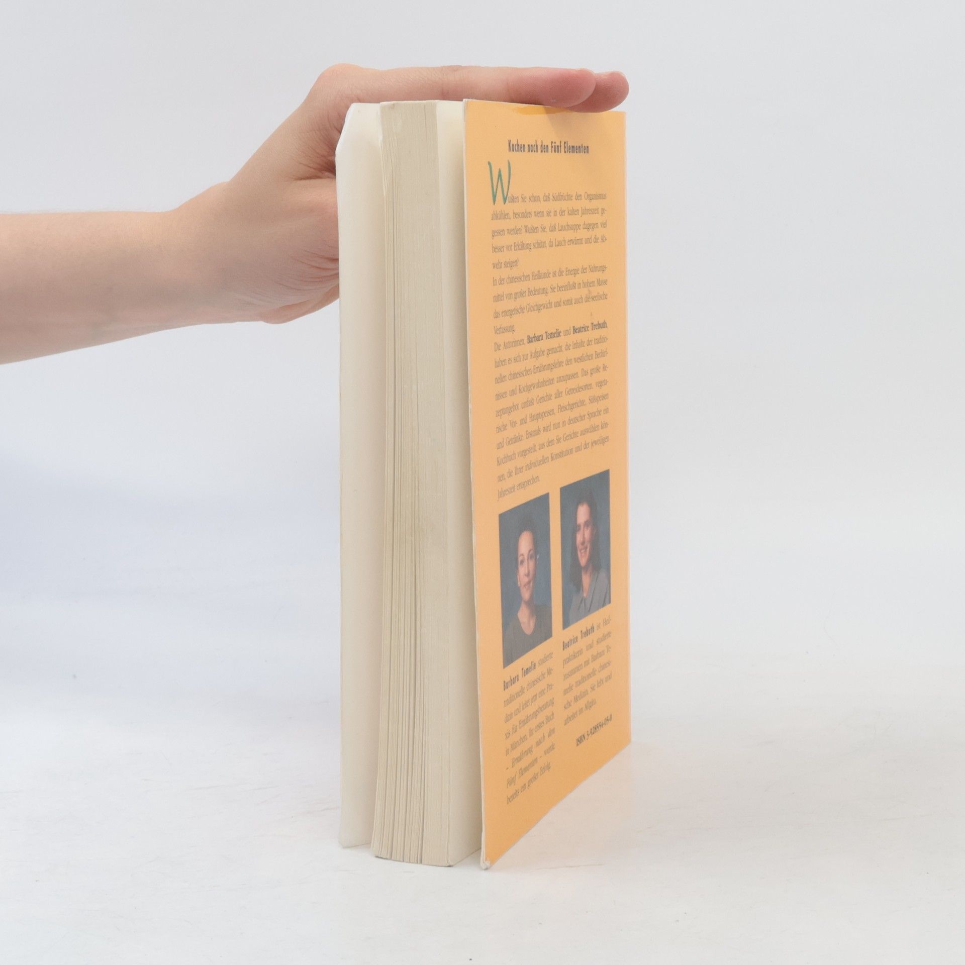Beatrice Trebuth Das Fünf Elemente Kochbuch