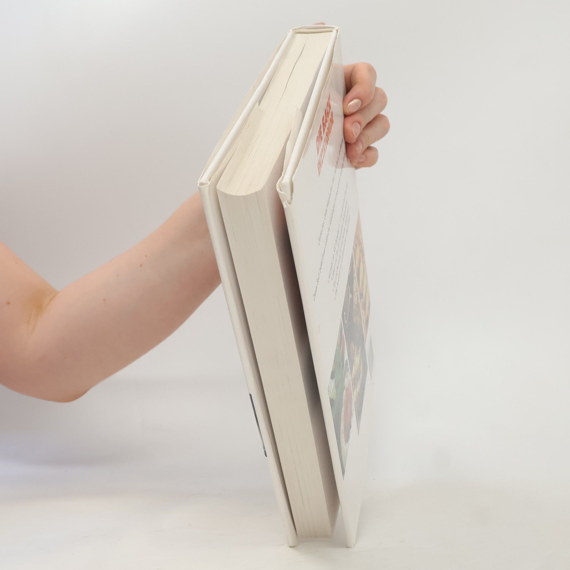 Various authors Die Backenzyklopädie