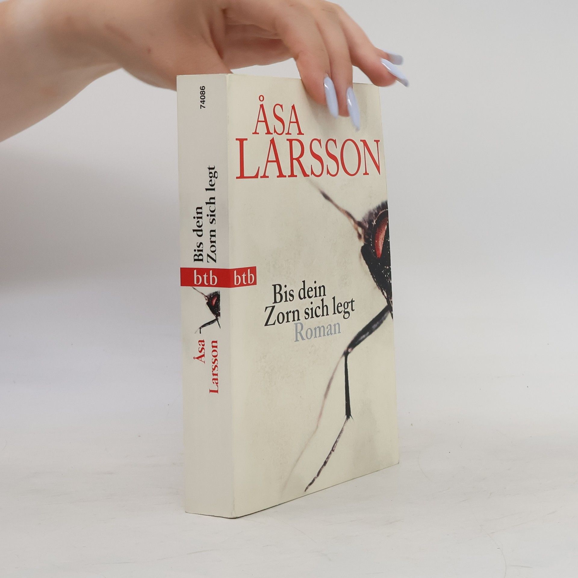 Åsa Larsson Bis dein Zorn sich legt