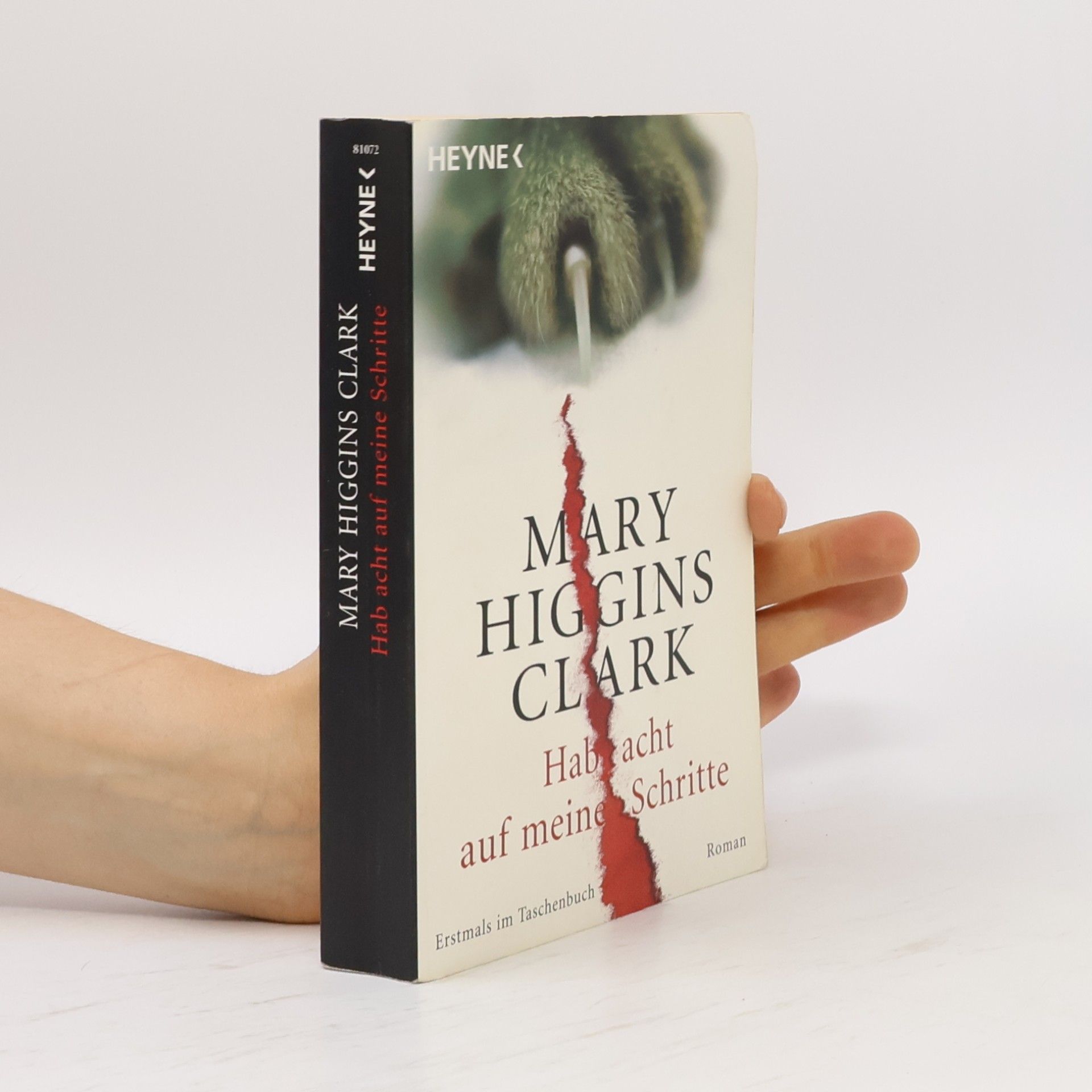 Mary Higgins Clark Hab acht auf meine Schritte