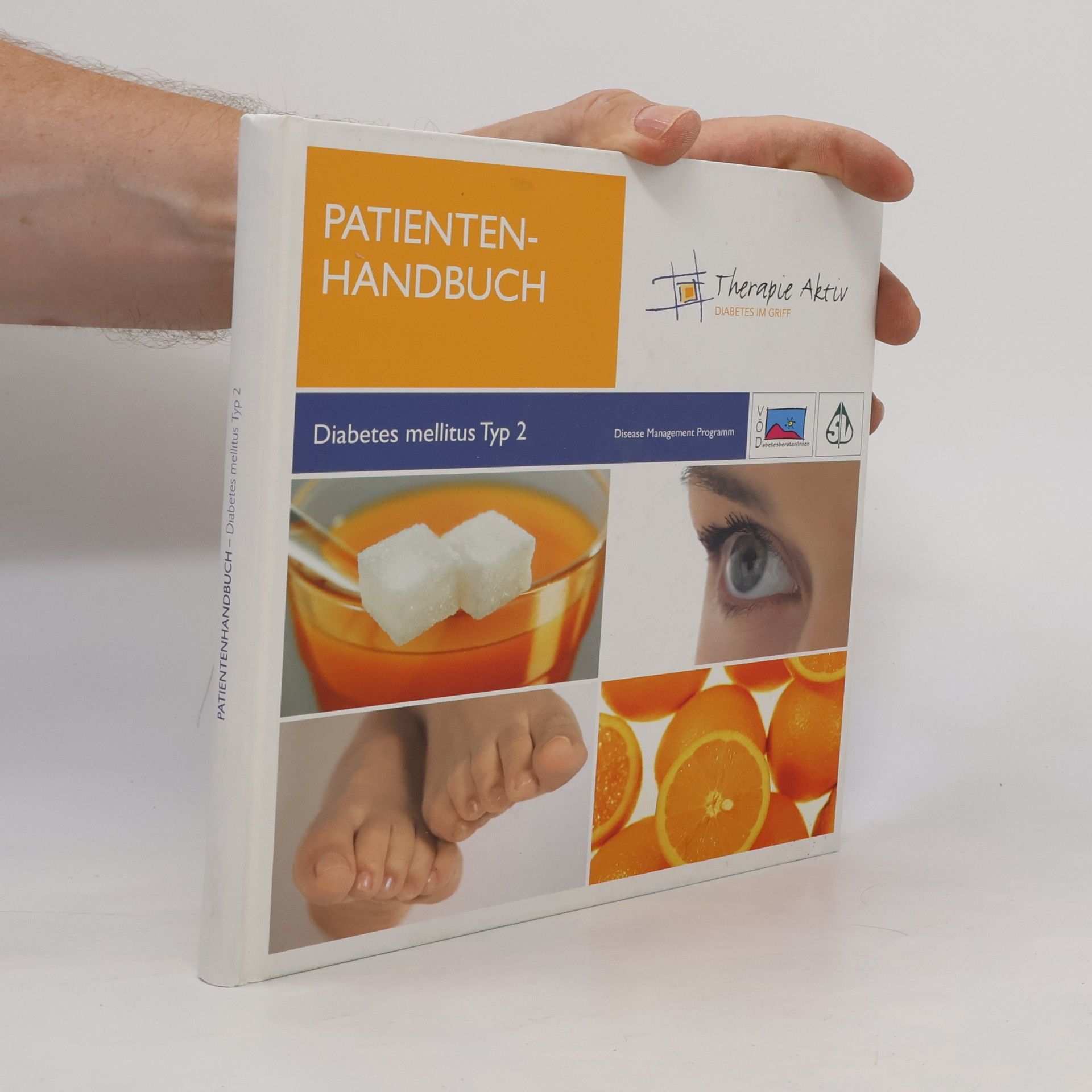 Collectif d'auteurs Patienten Handbuch. Diabetes Mellitus Typ 2