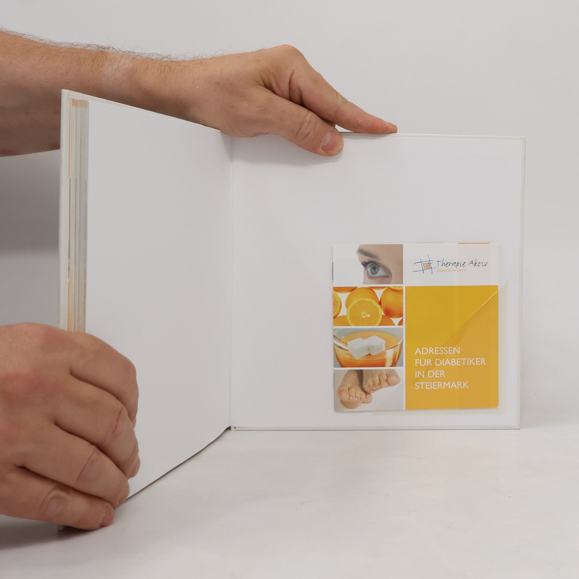 Autorenkollektiv Patienten Handbuch. Diabetes Mellitus Typ 2
