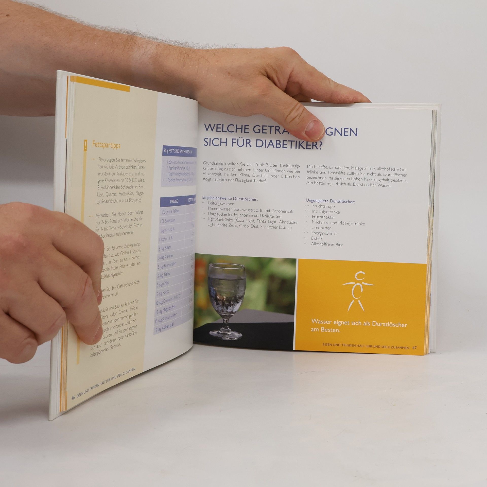 Autorenkollektiv Patienten Handbuch. Diabetes Mellitus Typ 2