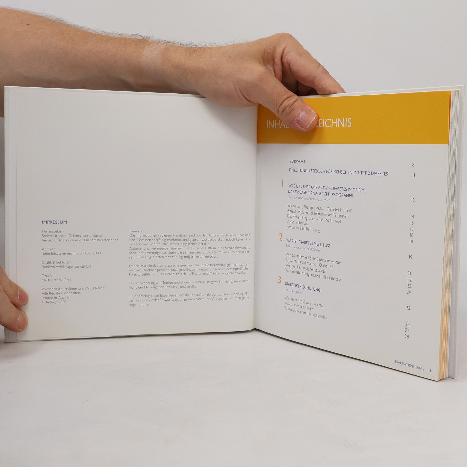 Autorenkollektiv Patienten Handbuch. Diabetes Mellitus Typ 2