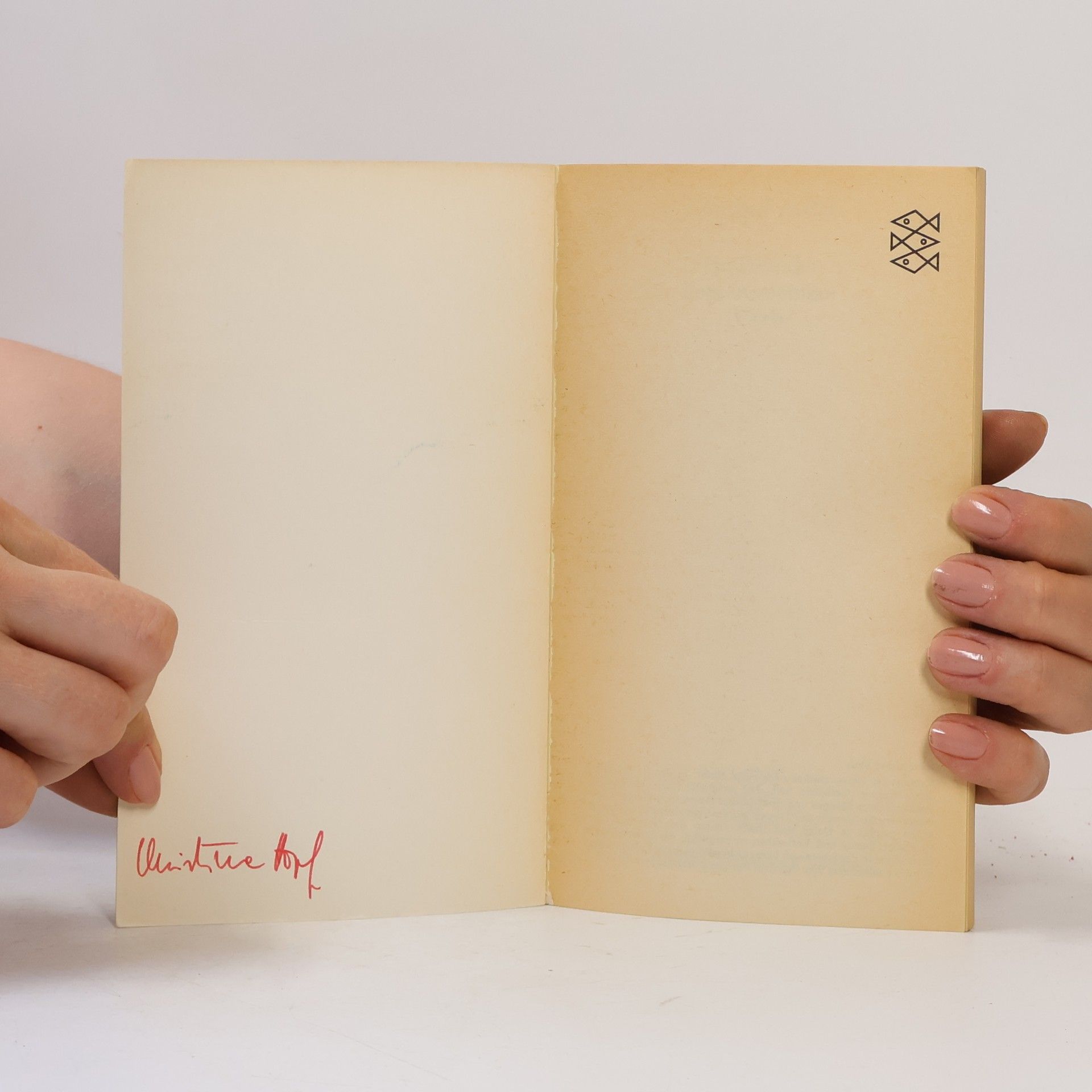 Margaret Millar Ein Fremder liegt in meinem Grab