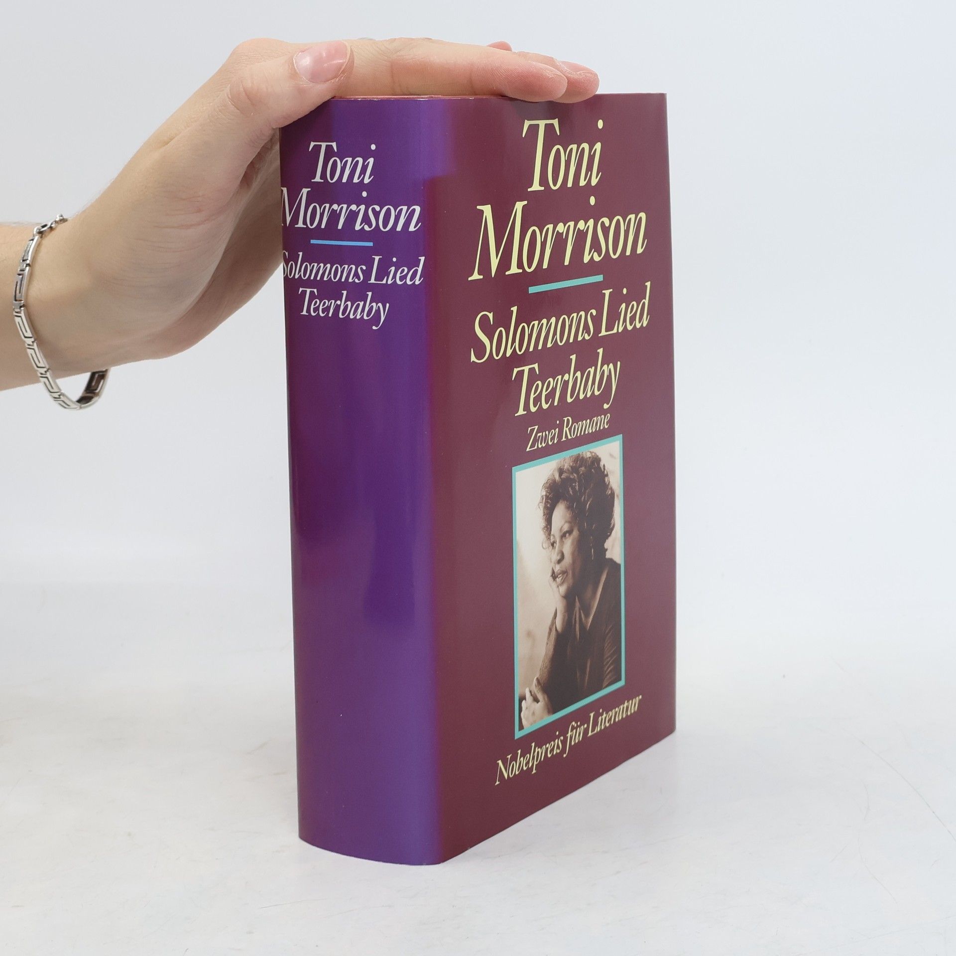 Toni Morrison Solomons Lied. Teerbaby