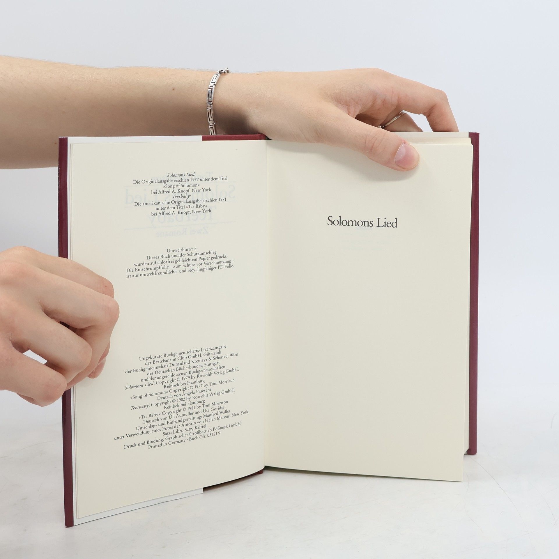Toni Morrison Solomons Lied. Teerbaby