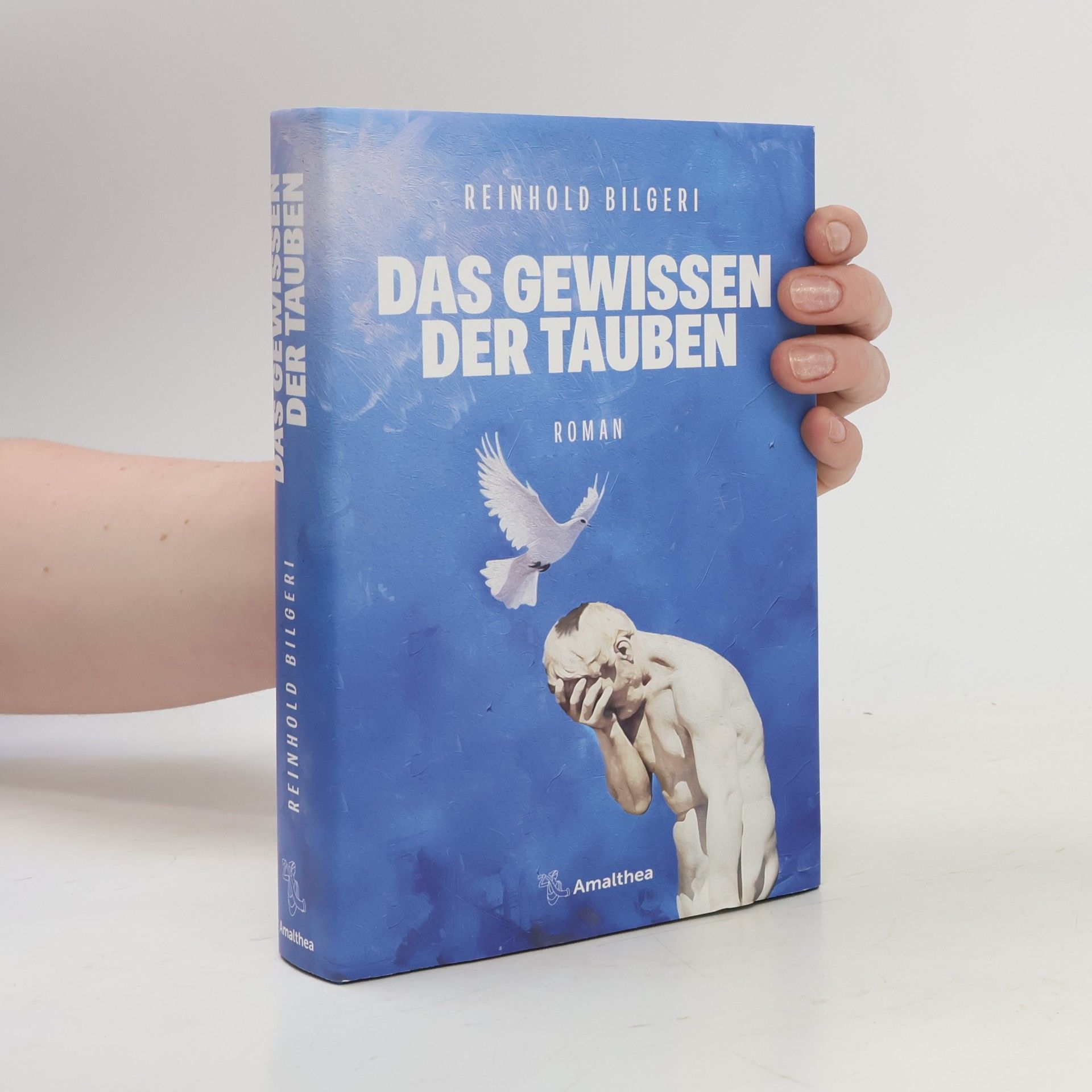 Reinhold Bilgeri Das Gewissen der Tauben