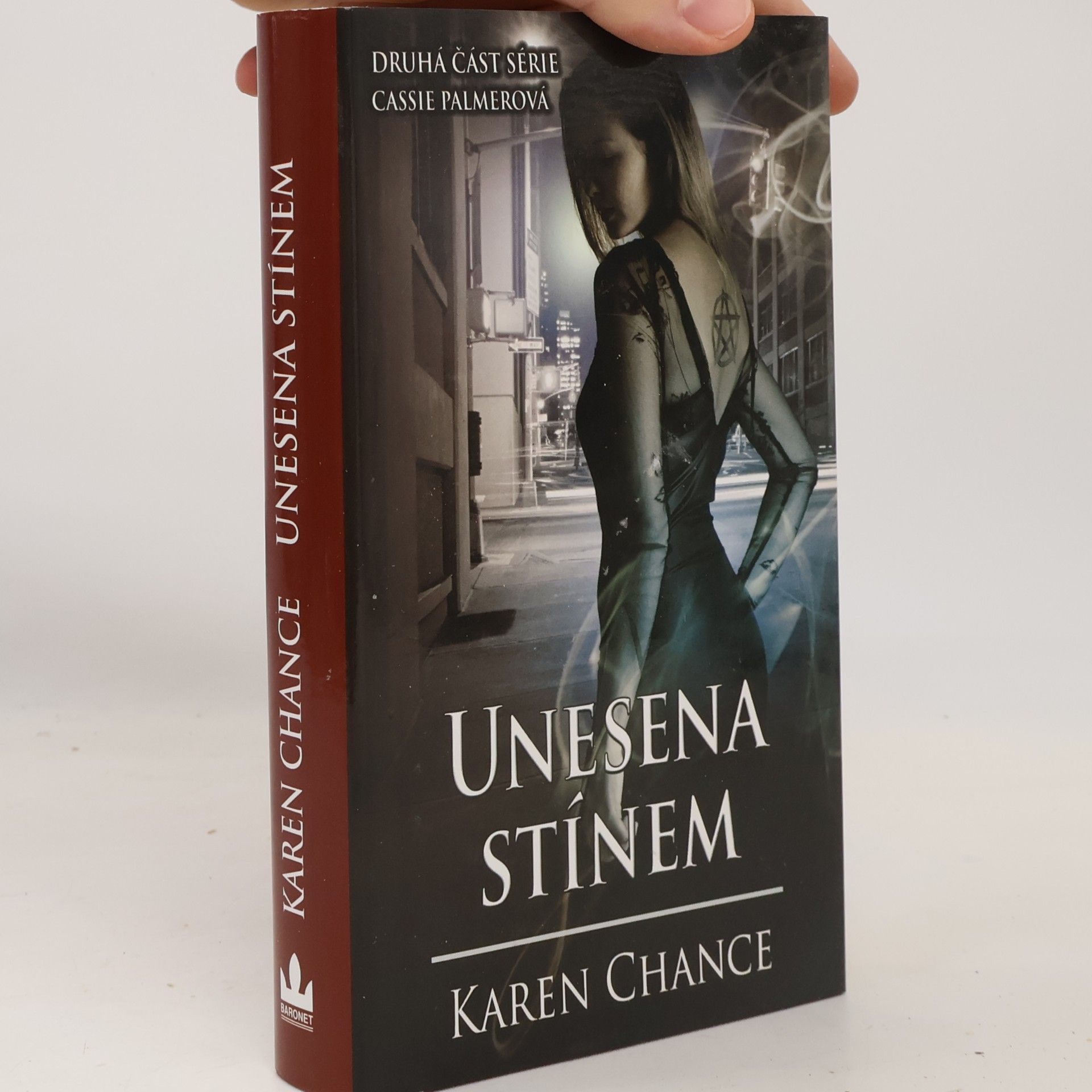 Karen Chance Unesena stínem
