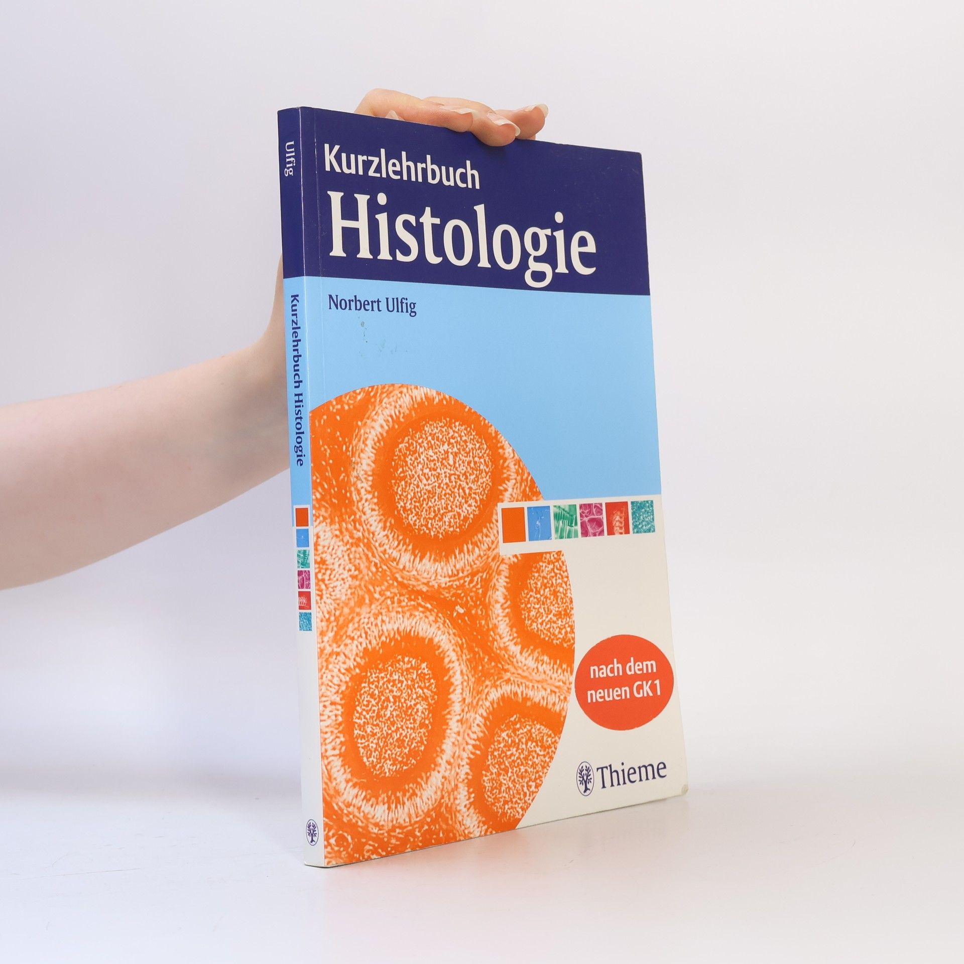 Norbert Ulfig Kurzlehrbuch Histologie
