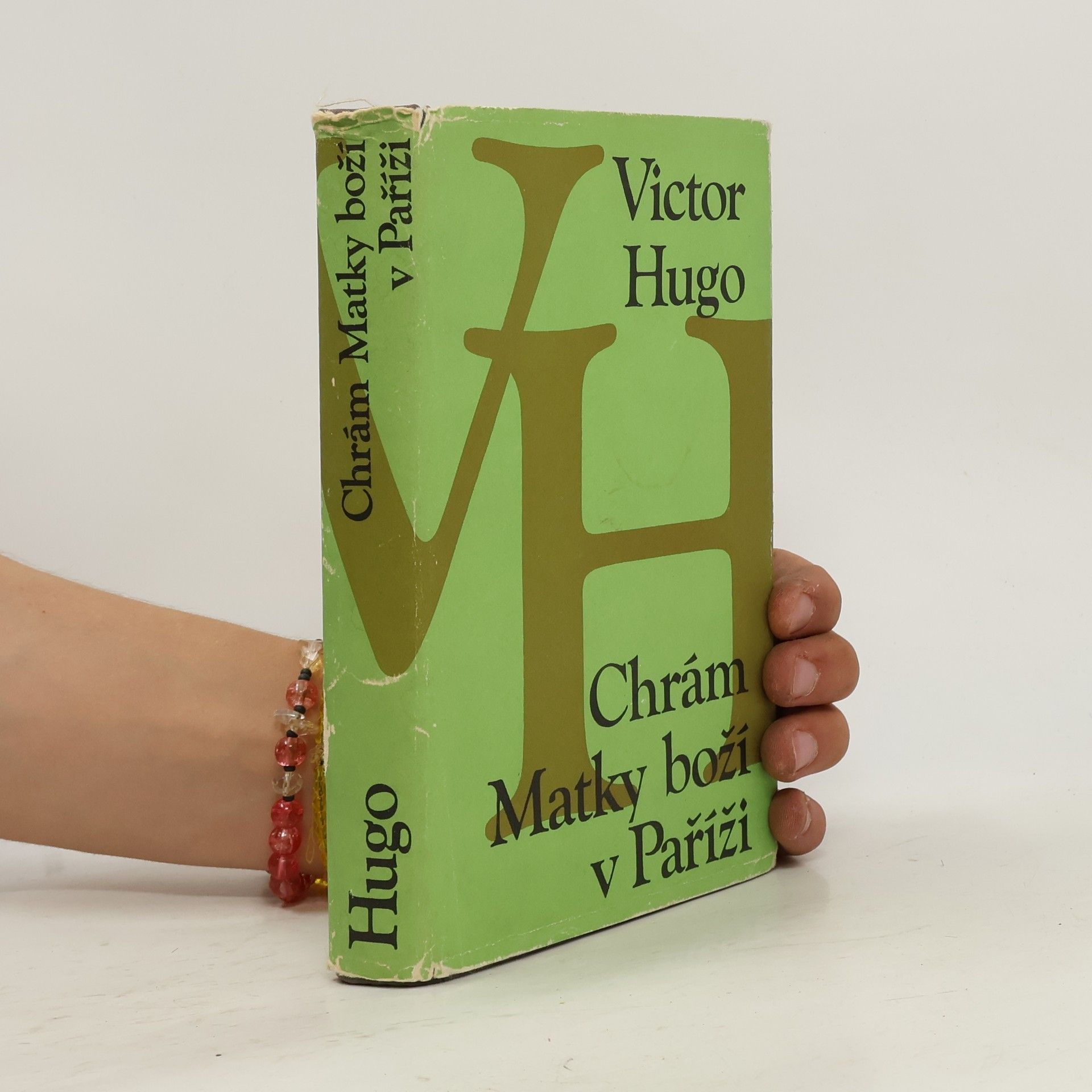 Victor Hugo Chrám Matky boží v Paříži