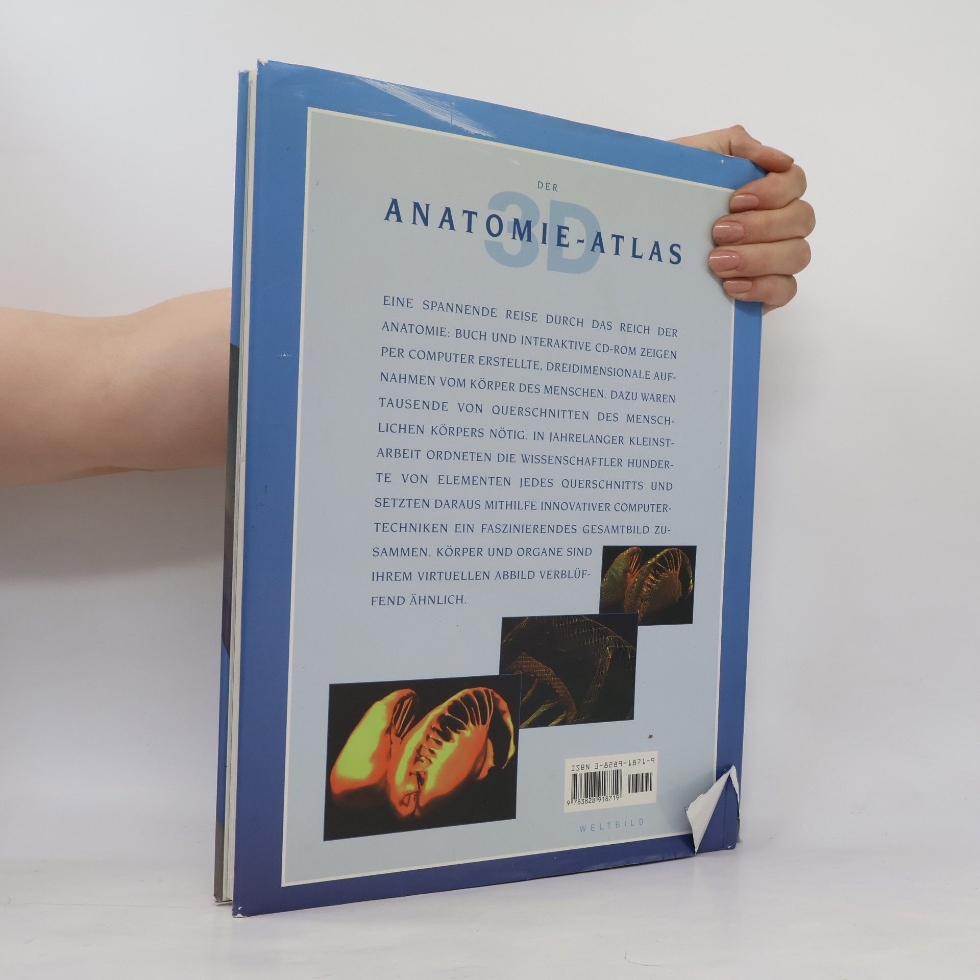 Thomas O. McCracken Der 3D Anatomie Atlas