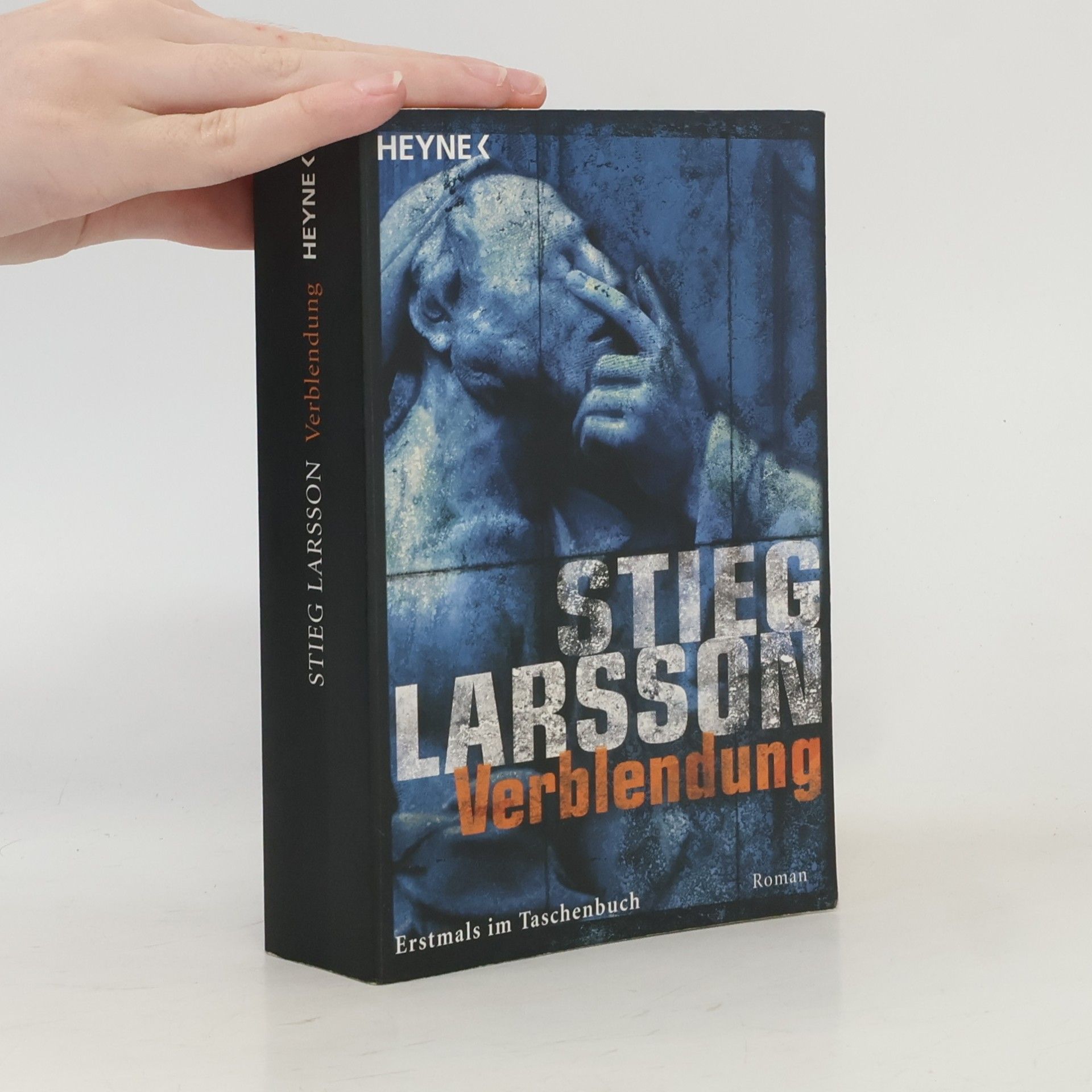 Stieg Larsson Verblendung