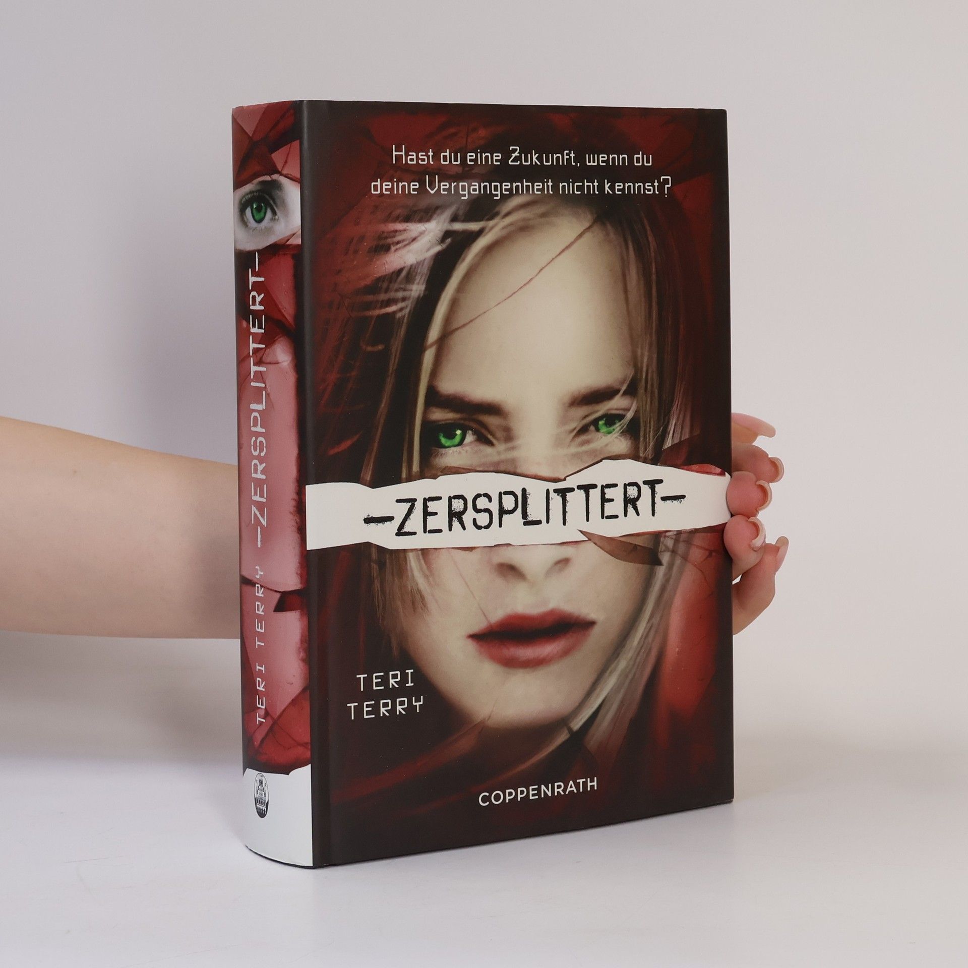 Teri Terry Zersplittert