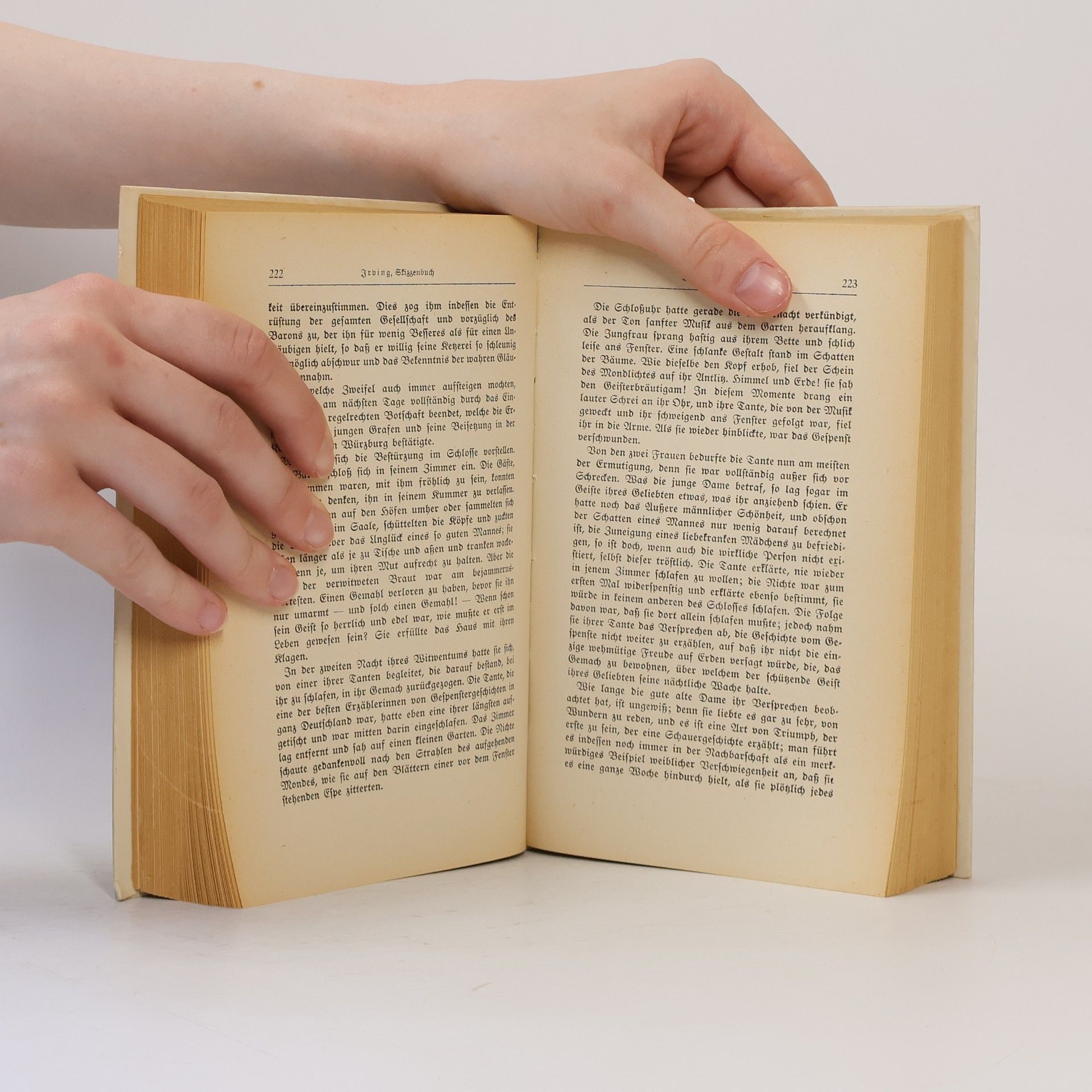 Washington Irving Skizzenbuch 1