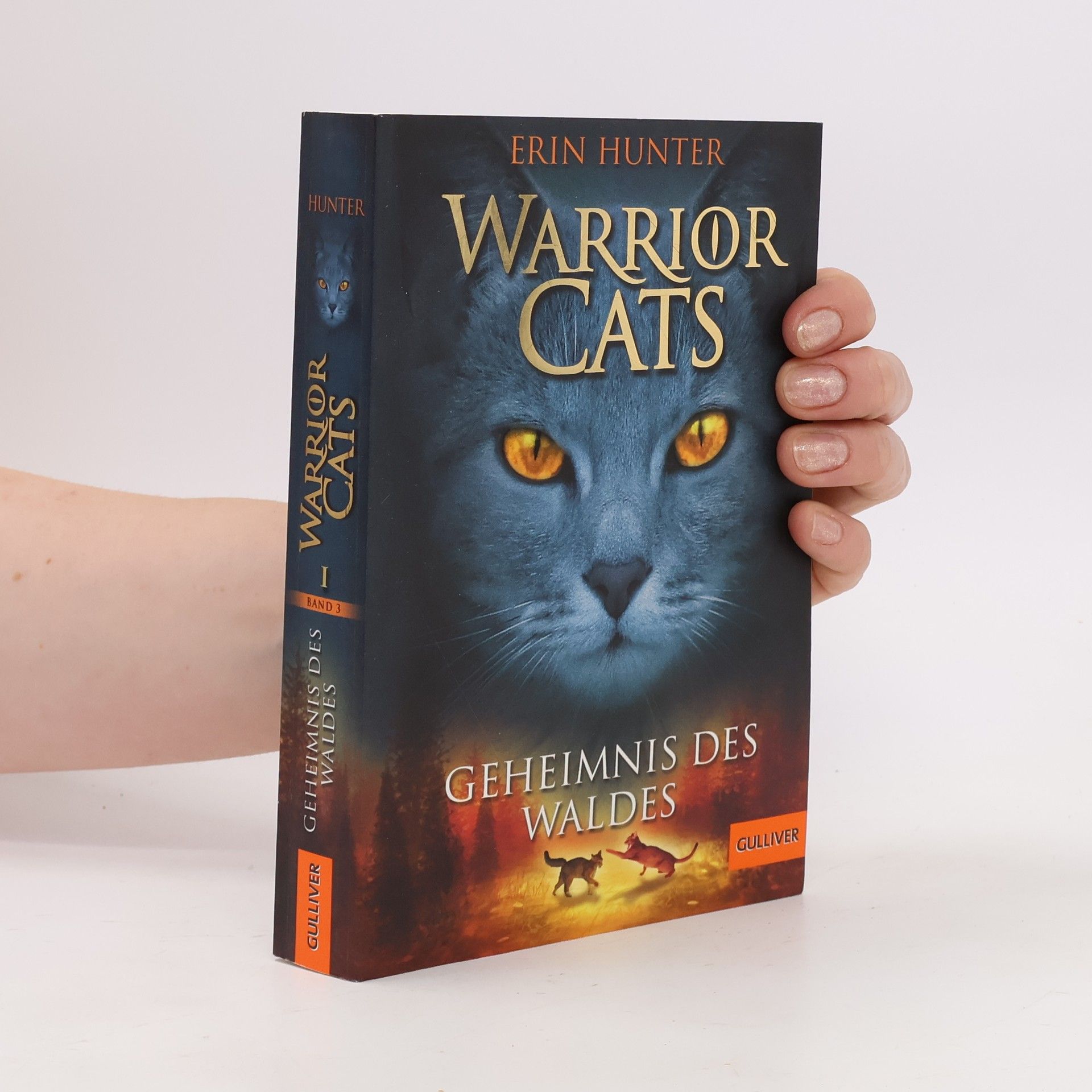 Erin Hunter Warrior Cats. Geheimnis des Waldes