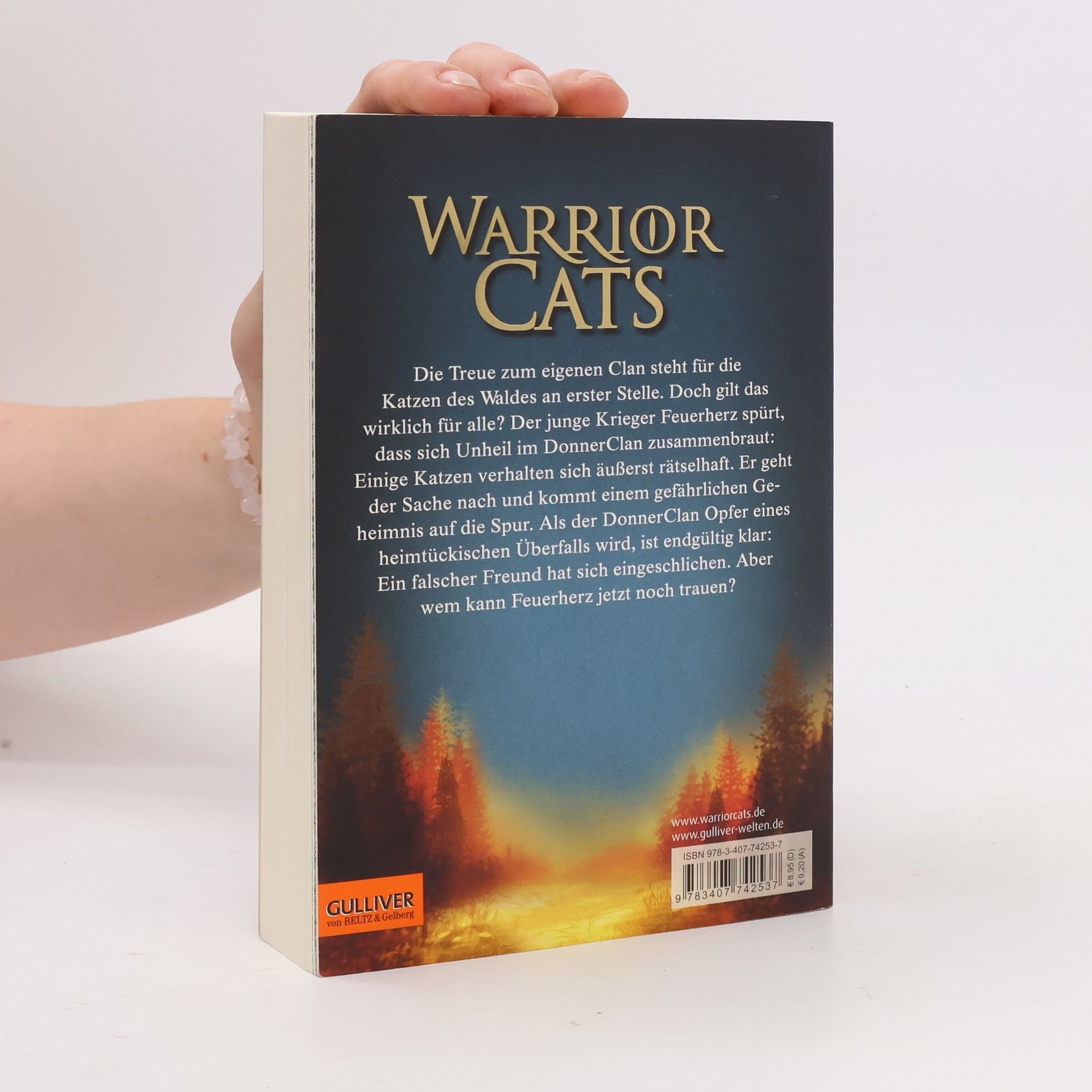 Erin Hunter Warrior Cats. Geheimnis des Waldes