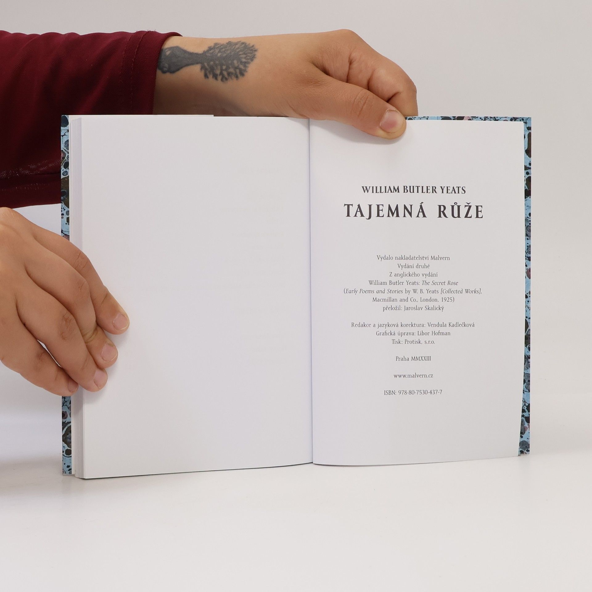 William Butler Yeats Tajemná růže