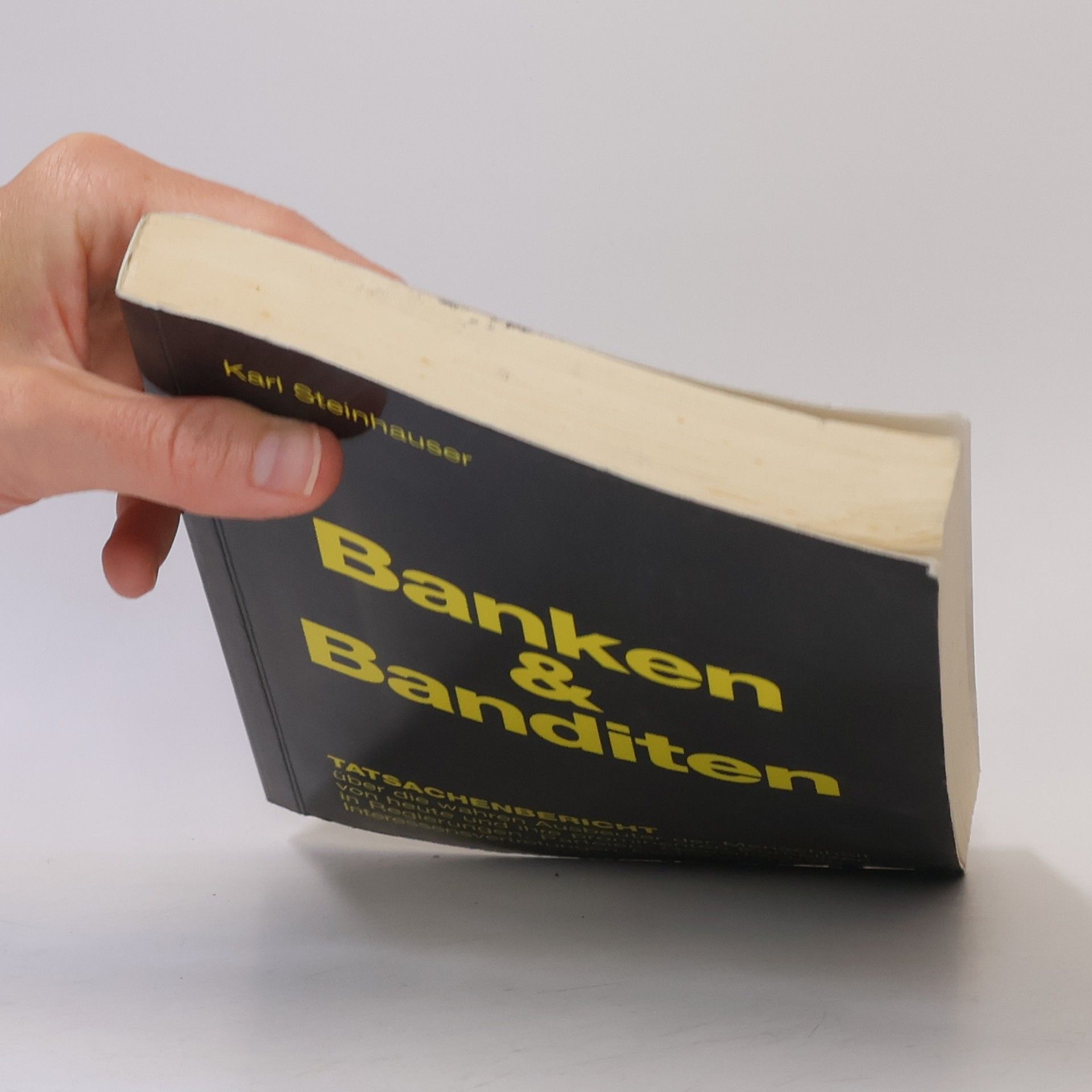 Karl Steinhauser Banken & Banditen