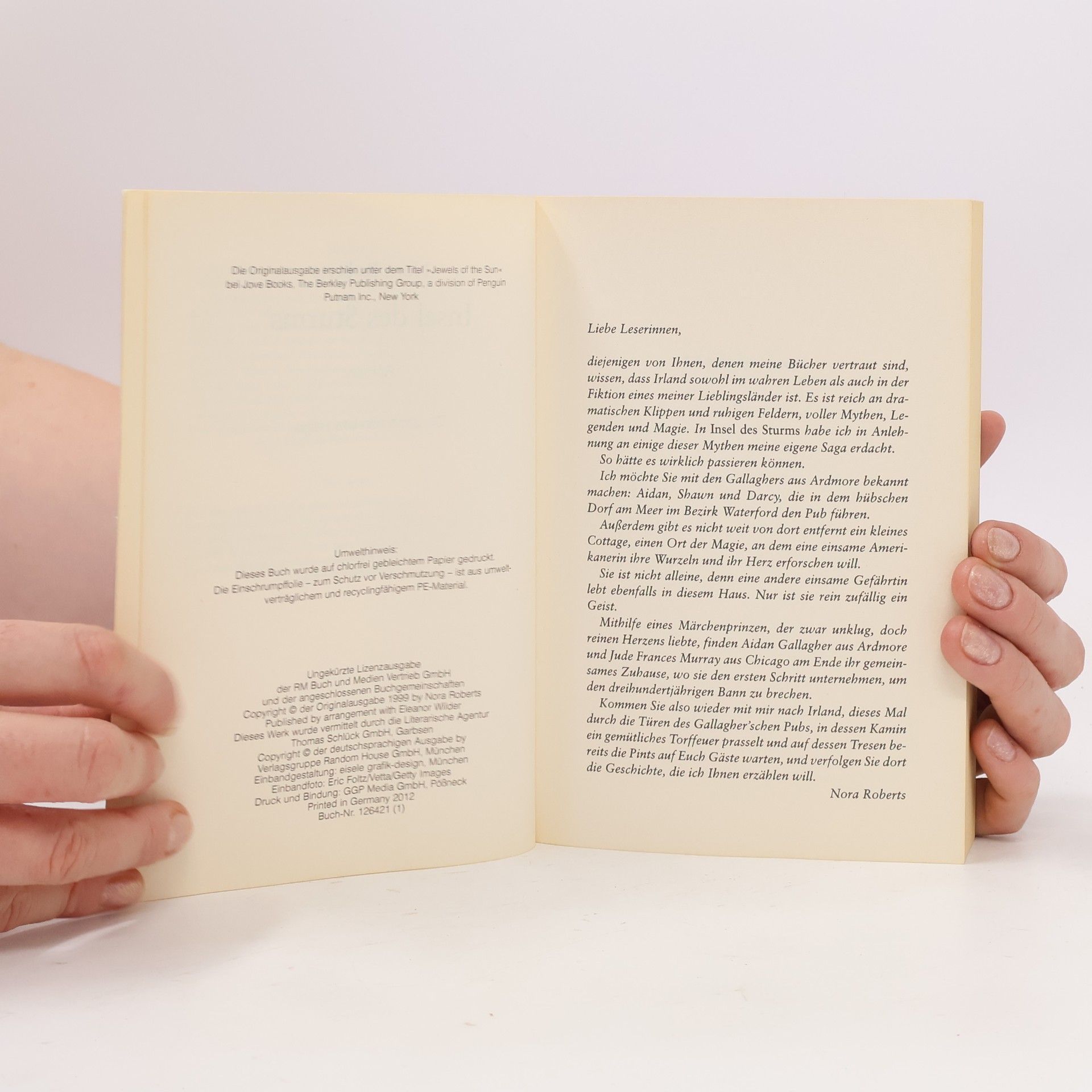Nora Roberts Insel des Sturms