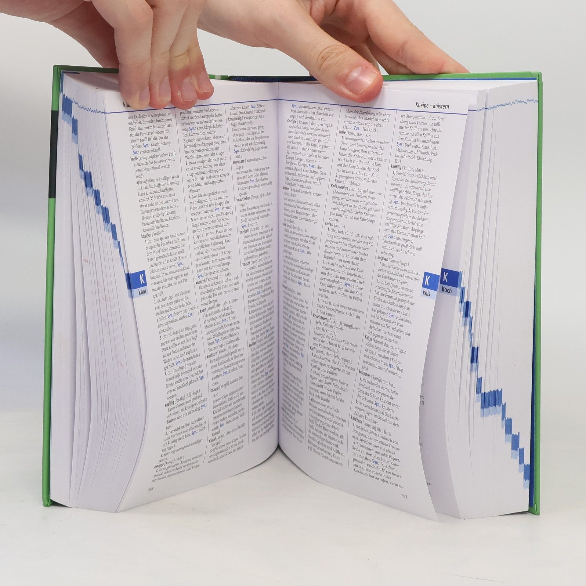Kathrin Razum Duden. Band 10, Das Bedeutungswörterbuch