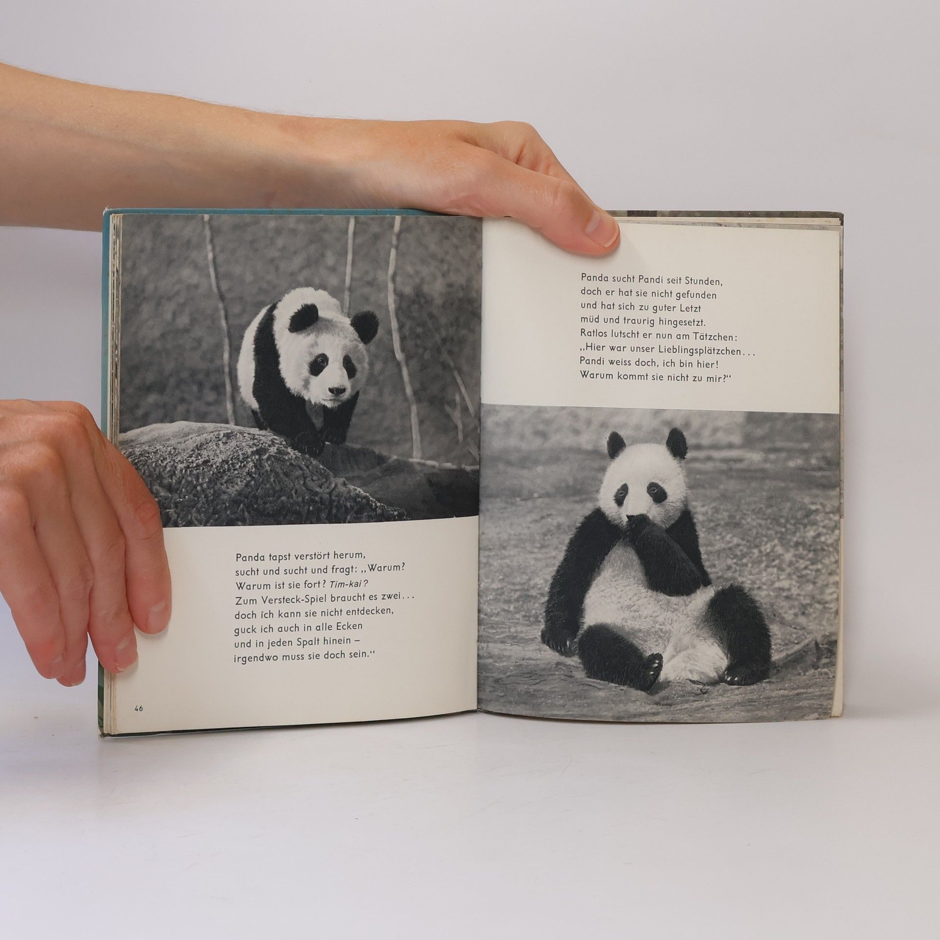 Various authors Pandi und Panda