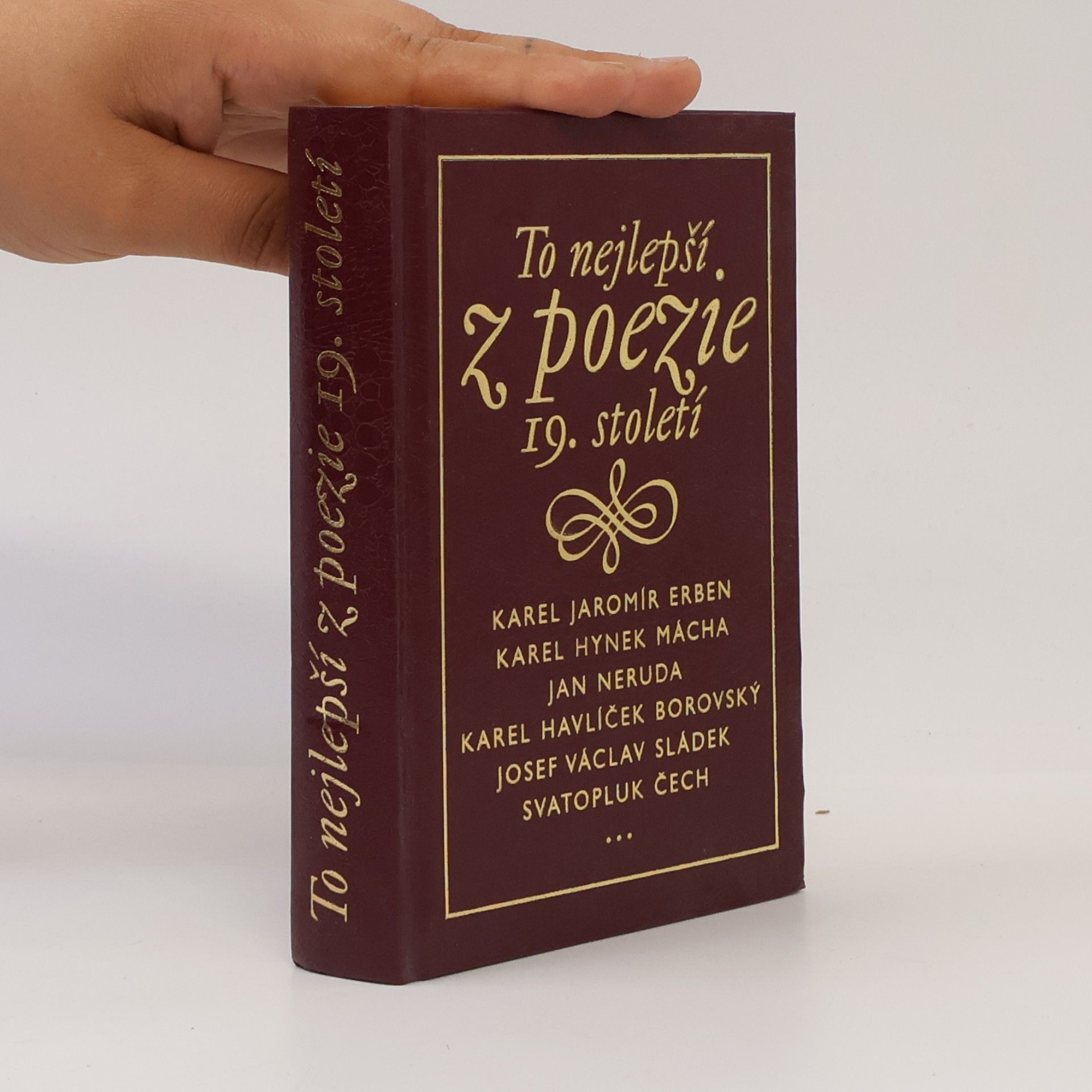 Kolektiv autorů To nejlepší z poezie 19. století